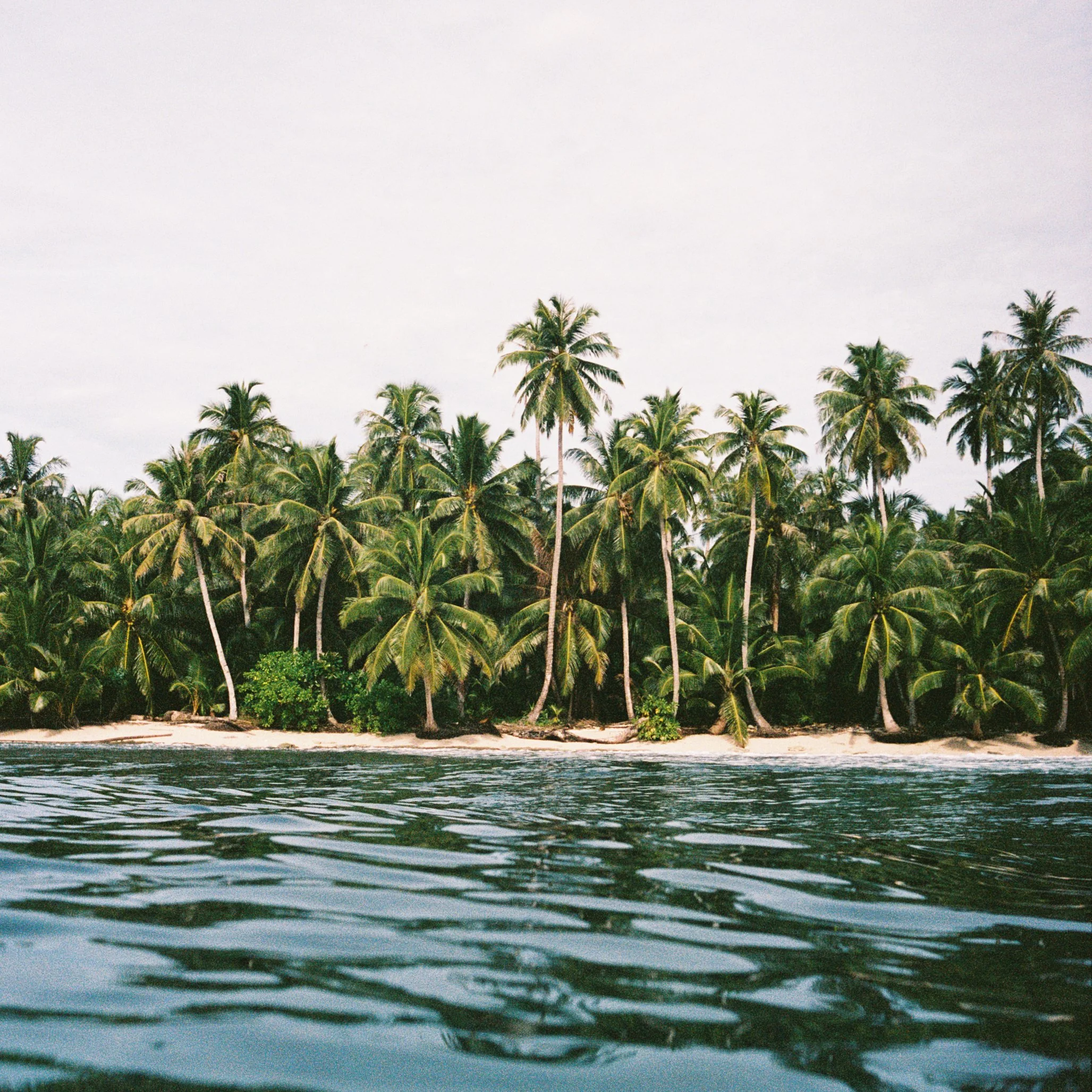 Cocoo-c.jpg