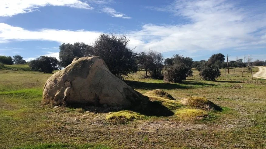 Stasis sleeping in Boomland, 2016
