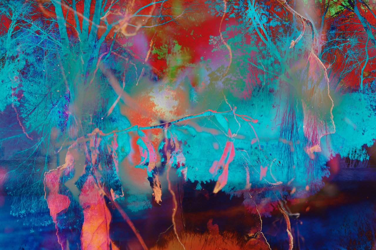Tempus - Inkjet Print in Lightbox