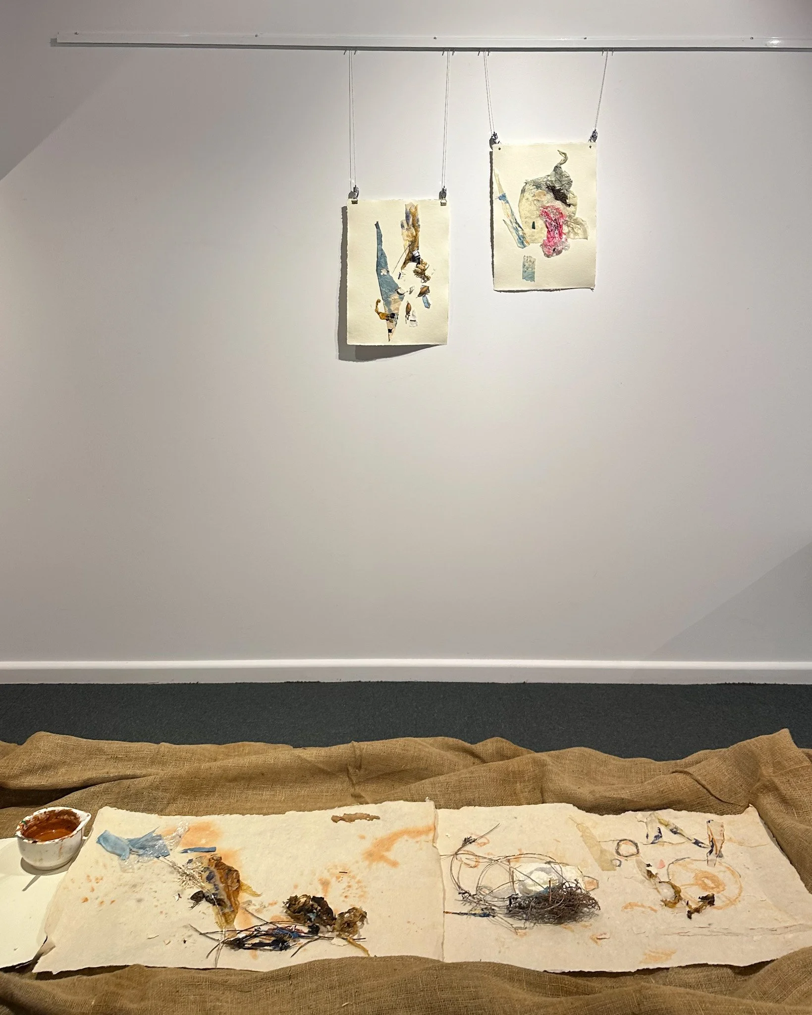 Avalyn Doyle - Adrift I, II and From Sea to Source