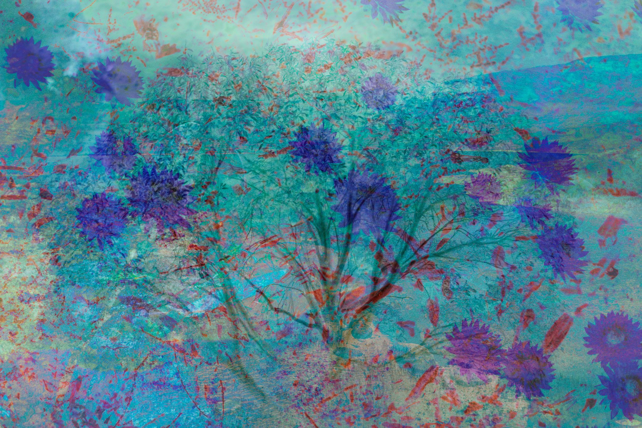 Alight_Pretty Valley-Web.jpg