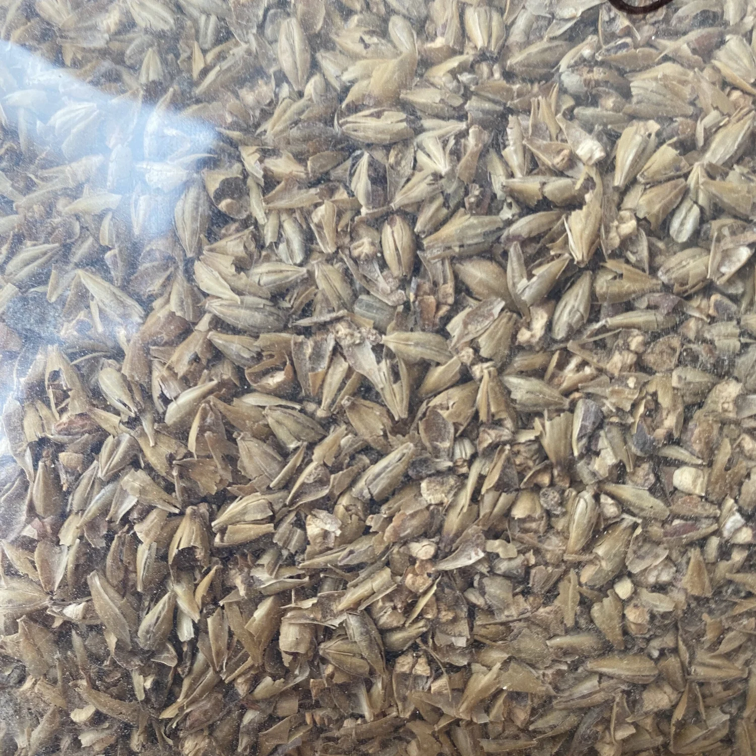 What does malt mean in beer? — Love Beer Learning