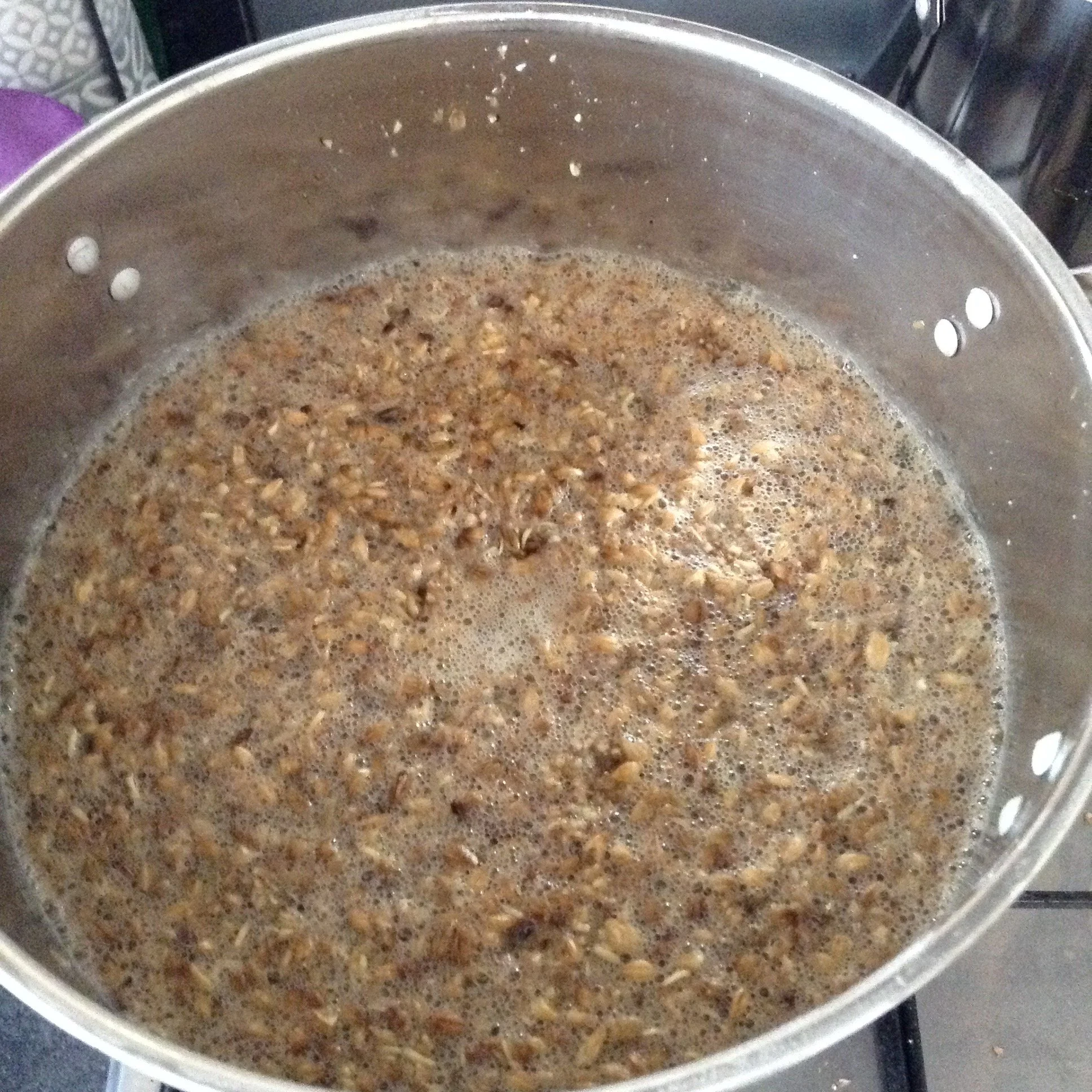 How To Start Home Brewing — Love Beer Learning