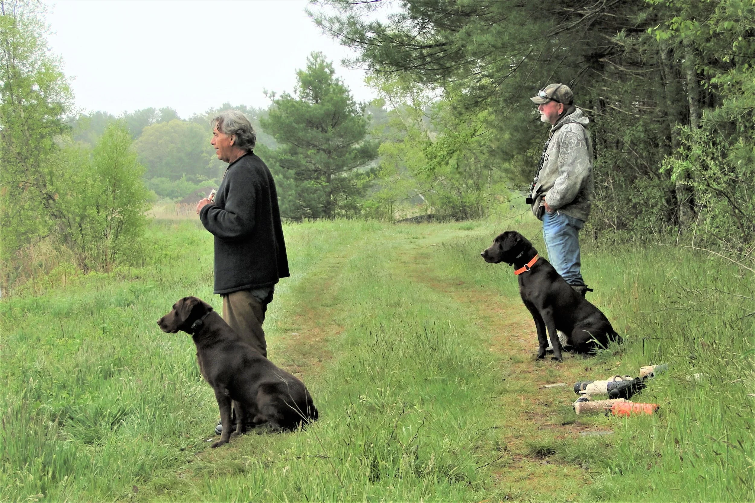Services 3 — DARTMOOR RETRIEVERS