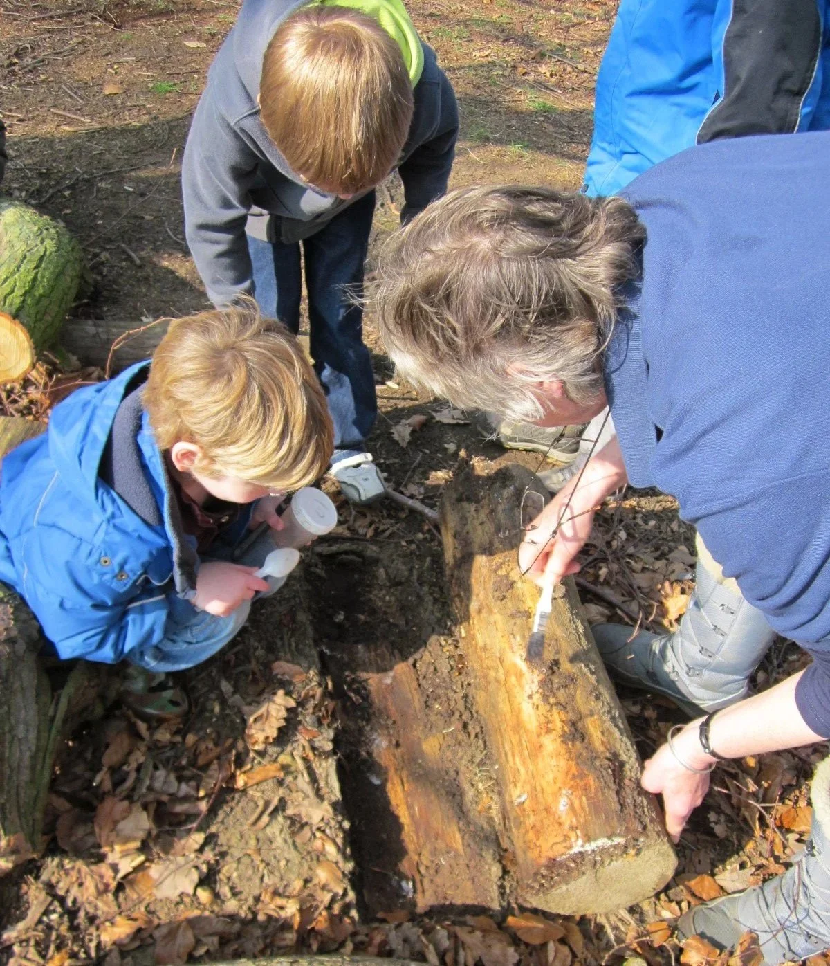 Children Mini-Beast Drop in Sessions at The Yorkshire Arboretum