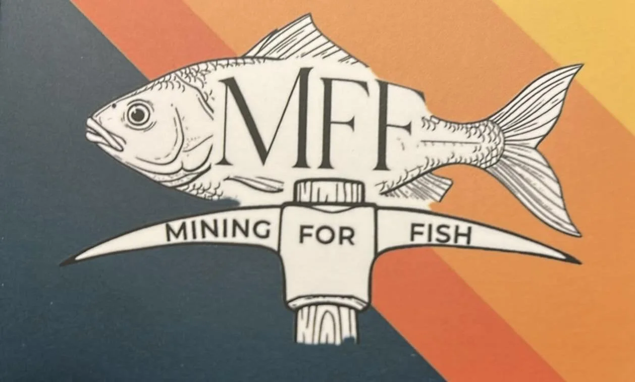 Live Music with Mining for Fish at The Filly &amp; Flagon
