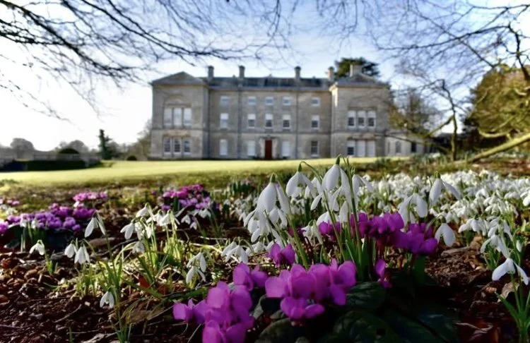 Sledmere House Spring Trails