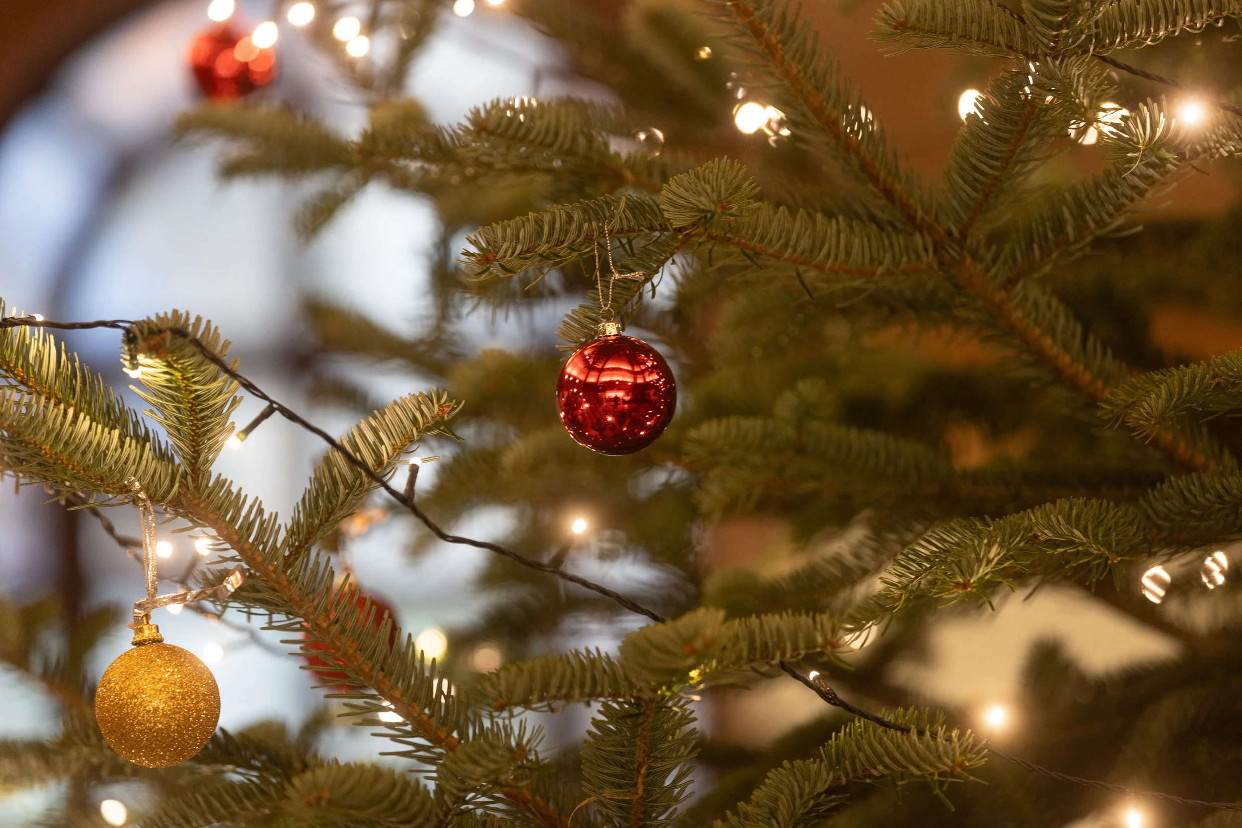 Close up of Christmas Tree with baubles