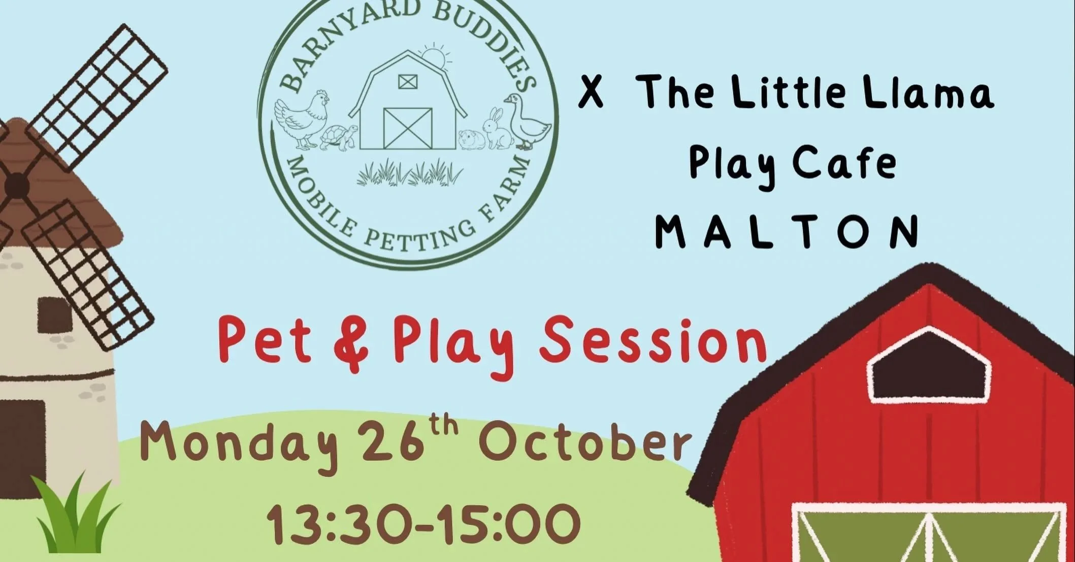 Pet and Play Session at The Little Llama  