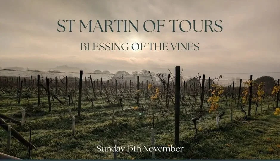 St Martin Tours Blessing of the Vines