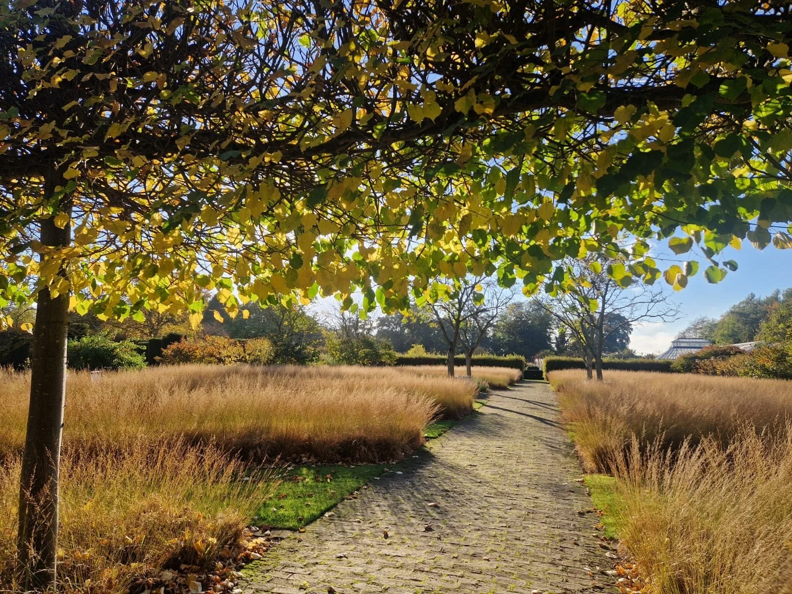 Scampston Autumn Plant Fair 