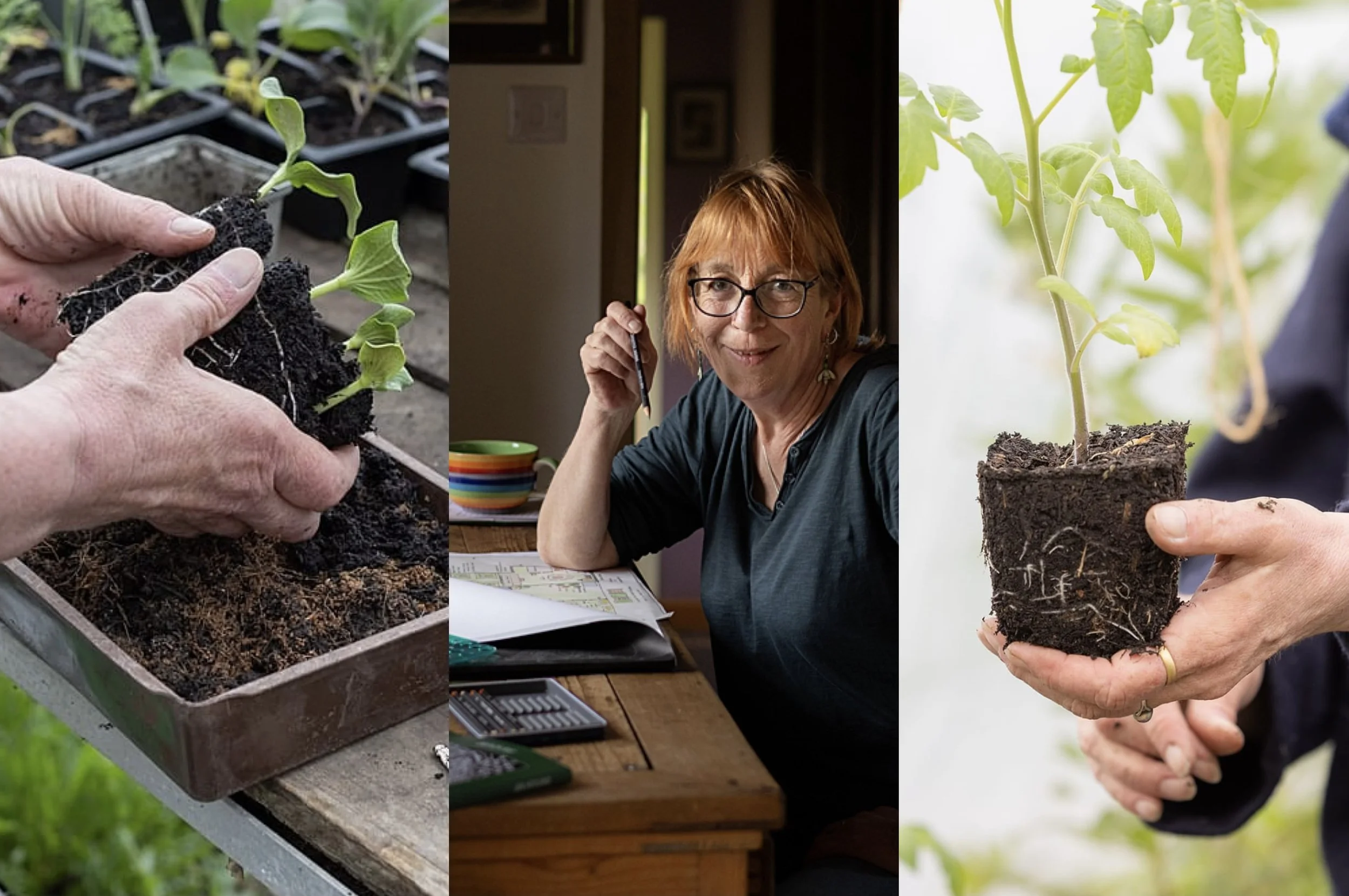 Plants for Free workshop 