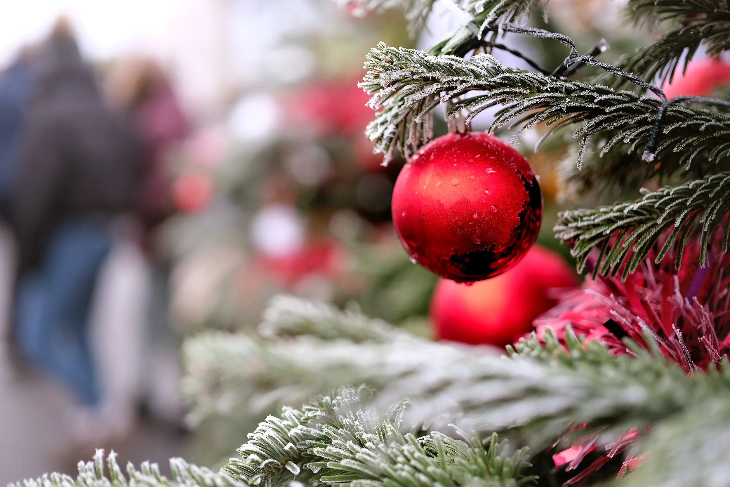 Malton Christmas Festival Sat 7th & Sun 8th December 2024 — Visit Malton