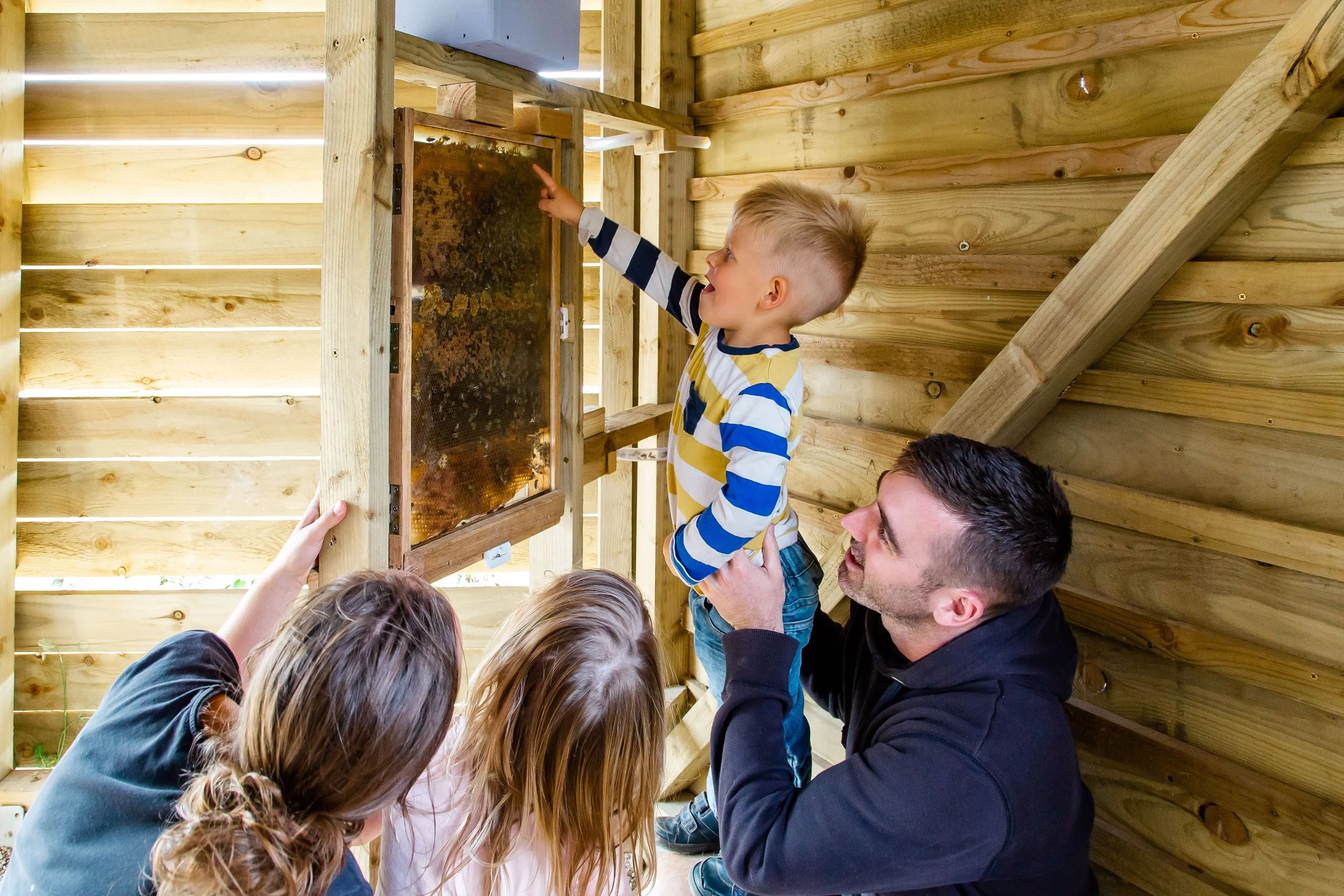 Woldies Bee Week: May Half Term