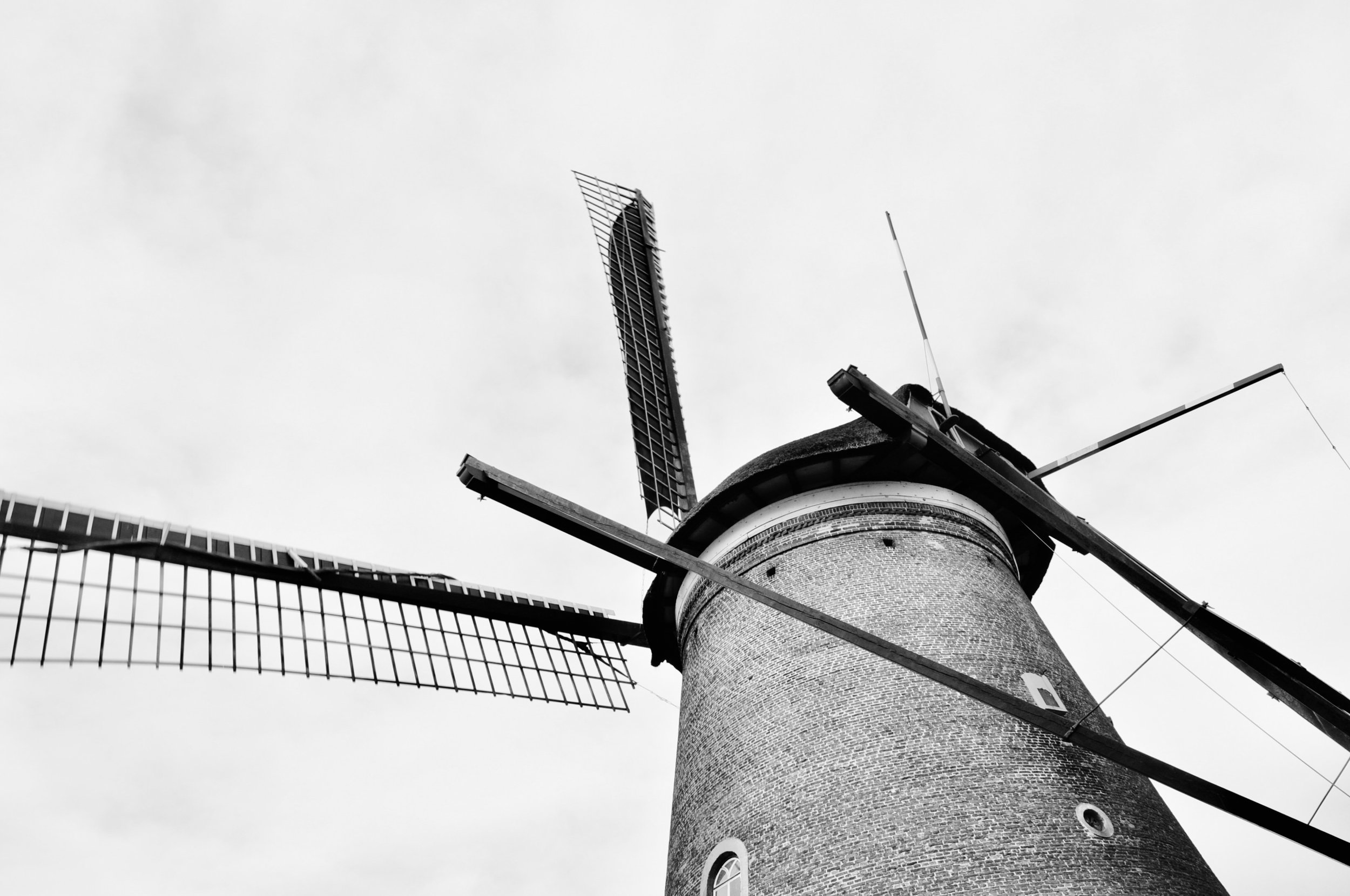 _DSC0667.JPG