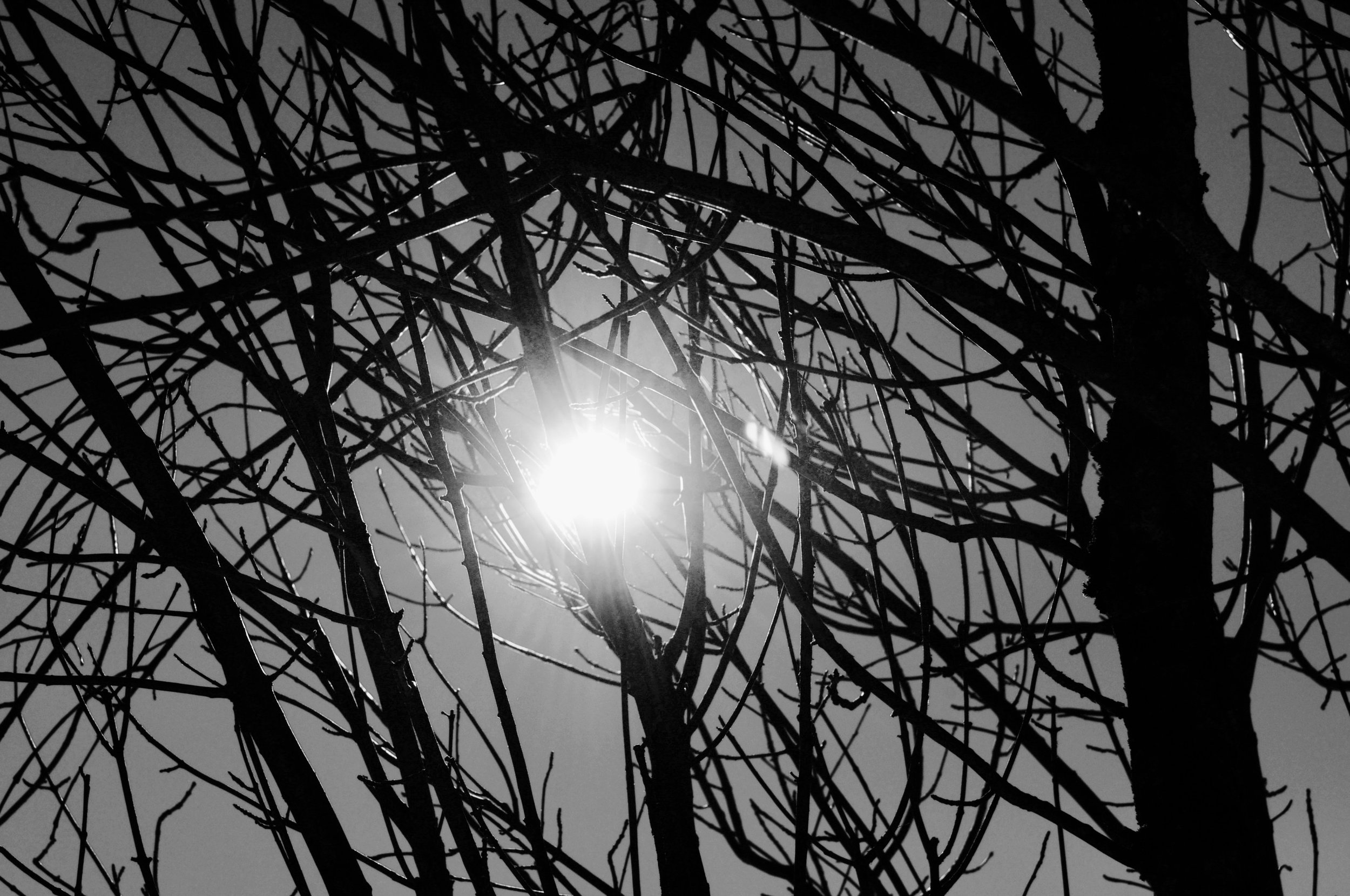 DSC_0437.jpeg