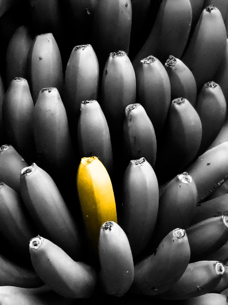 Bananen.jpg