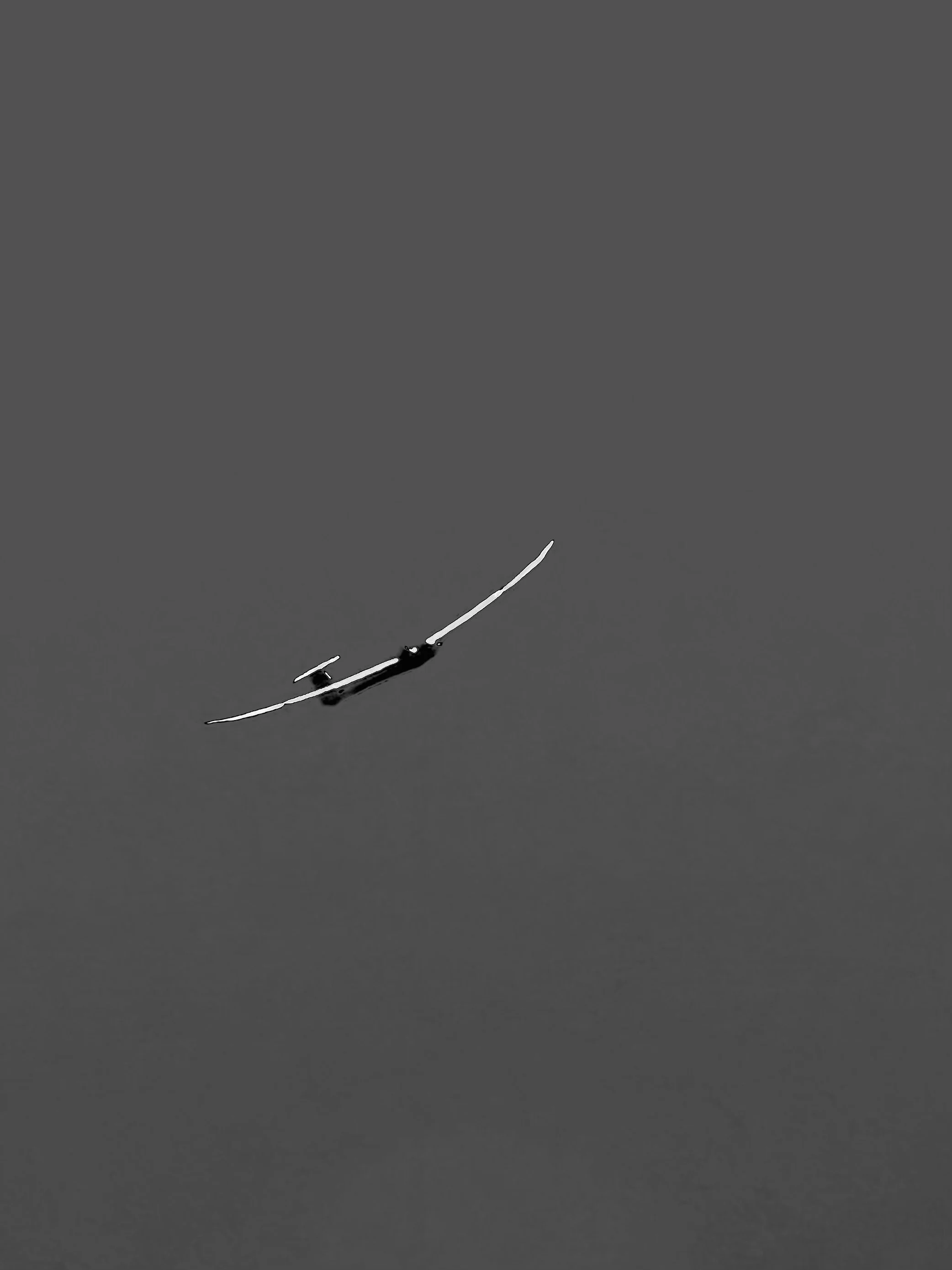 IMG_2769.jpeg