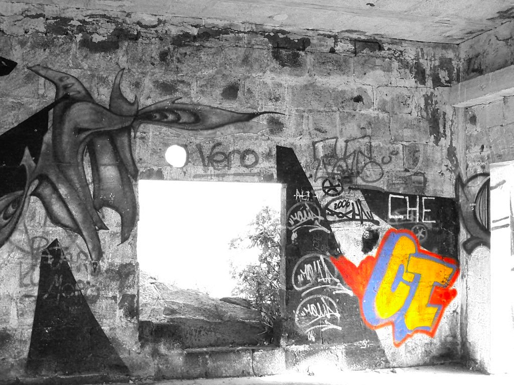 Sprayerfoto.jpg