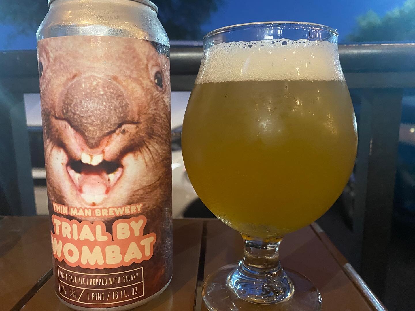 How do you not buy a beer called Trial by Combat from @thinmanbrewery ?  The name and label definitely got my attention. Cheers 🍻 #beer #craftbeer #buffalocraftbeer #newyorkcraftbeer #podcast #beerpodcast