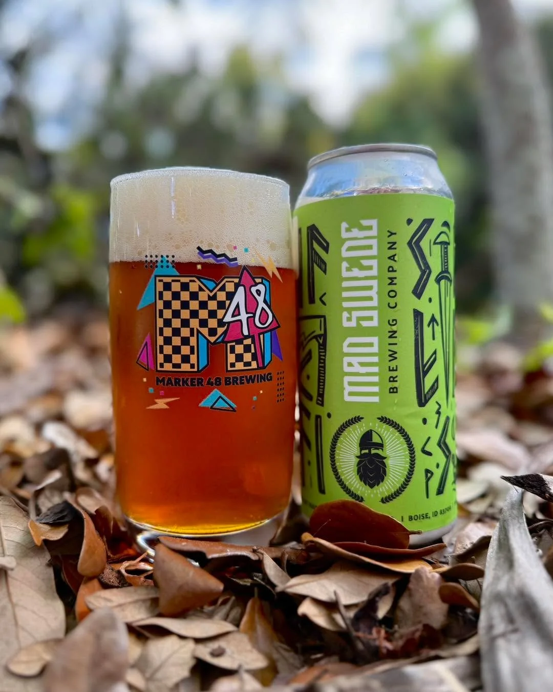 High Trellis from Mad Swede Brewing. Great malt and hop balance. Love the bitterness and dryness finish at the end. Makes me want to drink more.