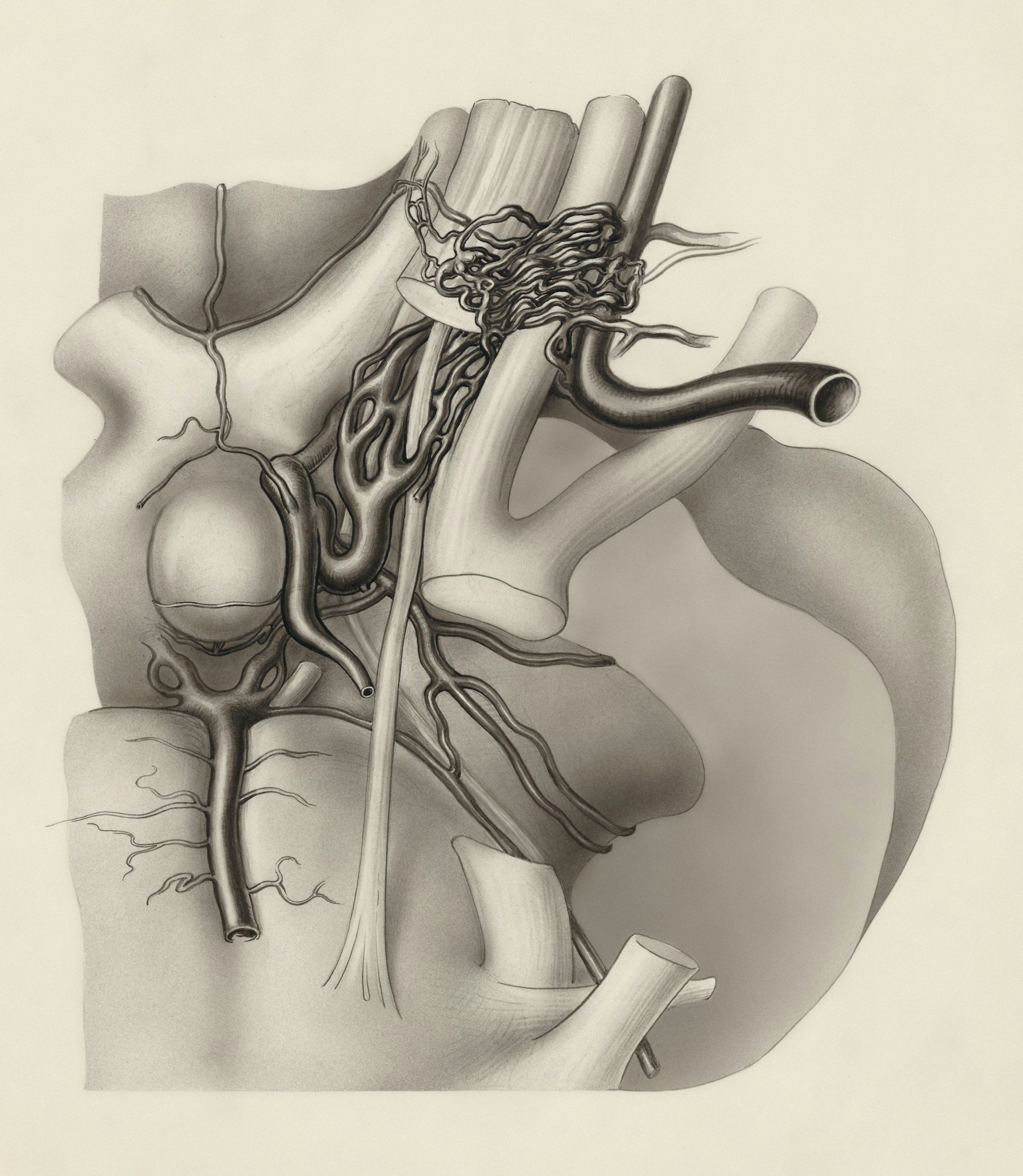 When the thyroid affects fertility: the hidden hormonal link every woman should know