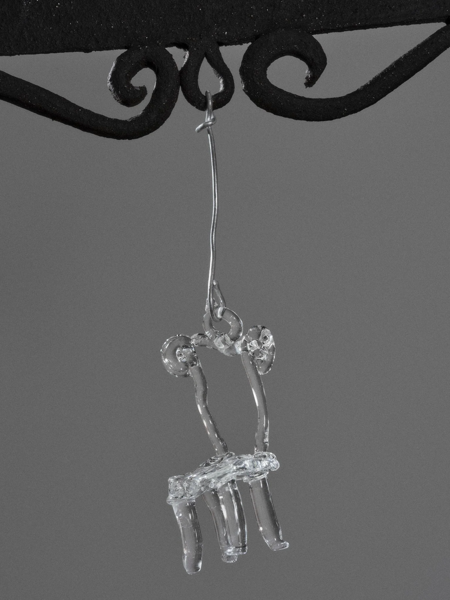 DSC02598-1.jpg