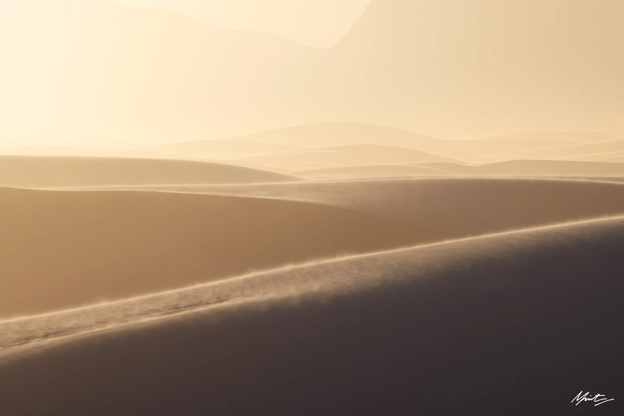 260228_Dunes-26.jpg
