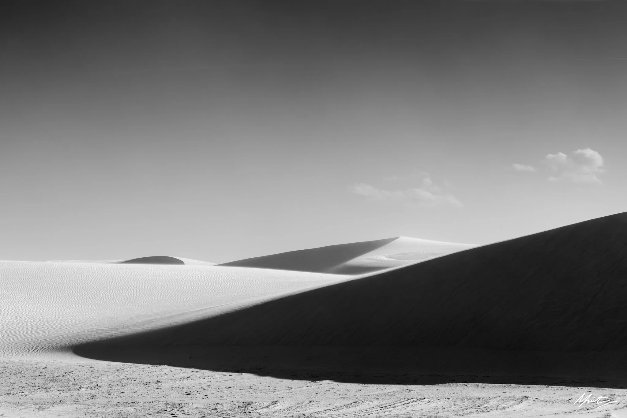 260228_Dunes-13.jpg