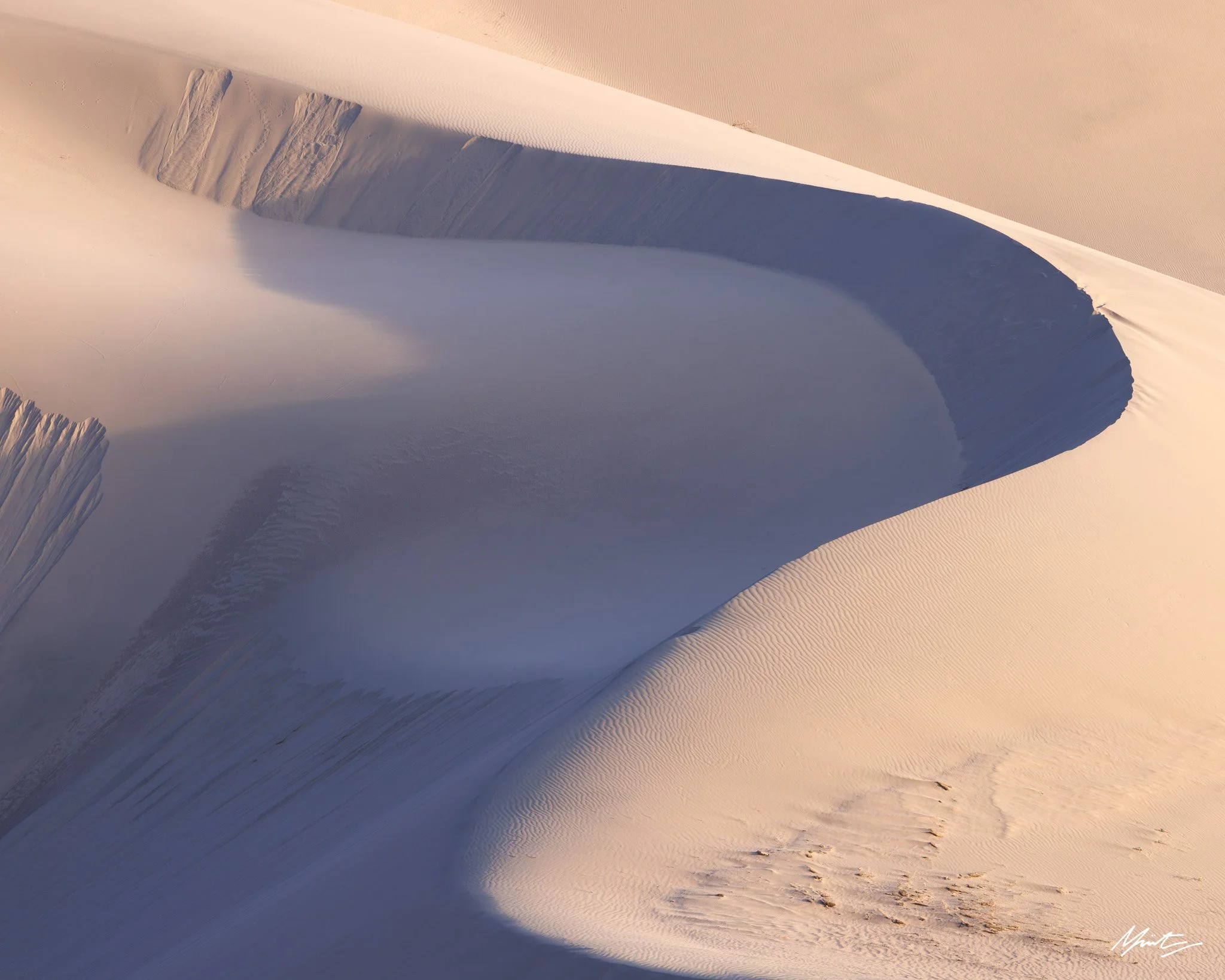 260228_Dunes-37.jpg