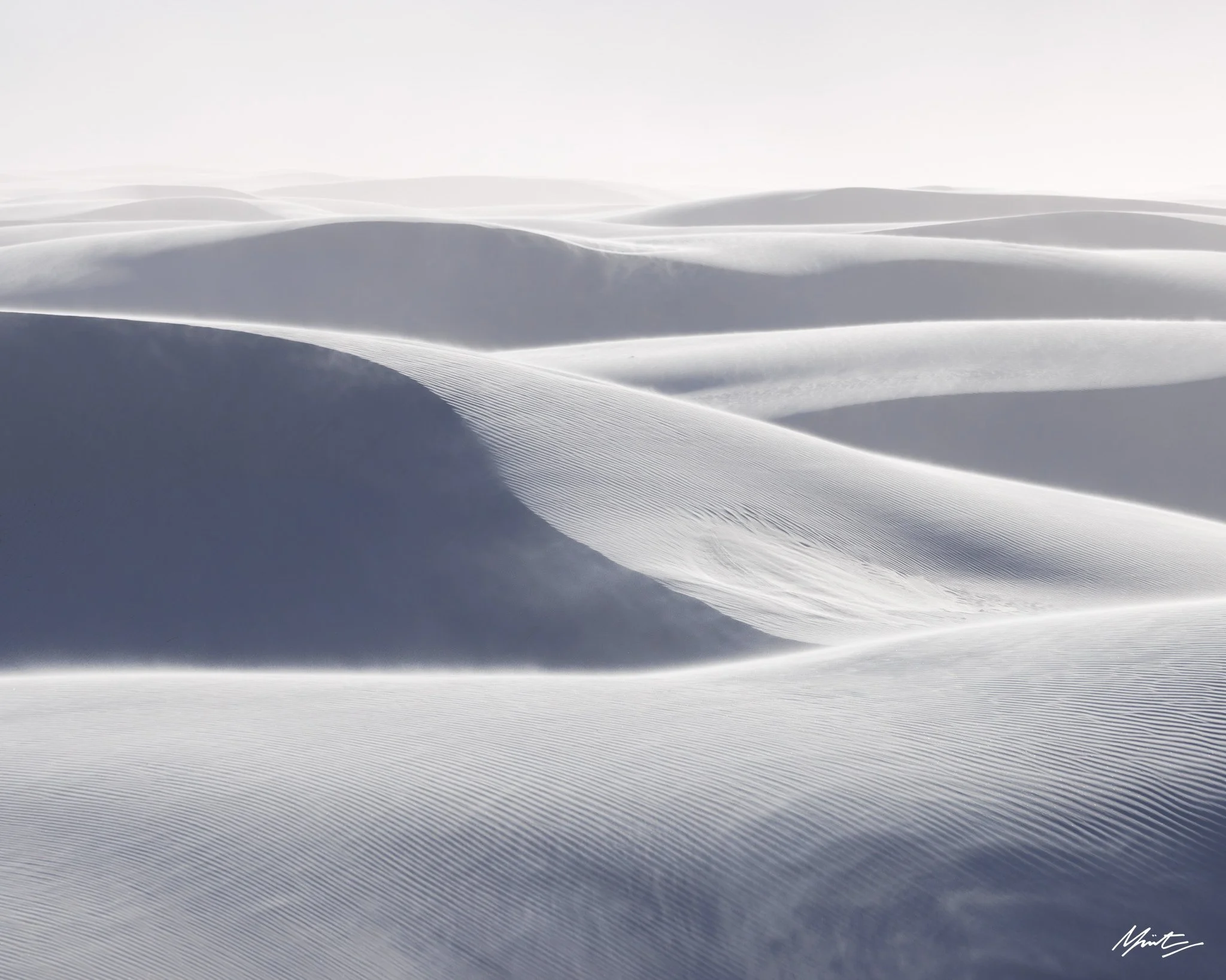 260228_Dunes-15.jpg