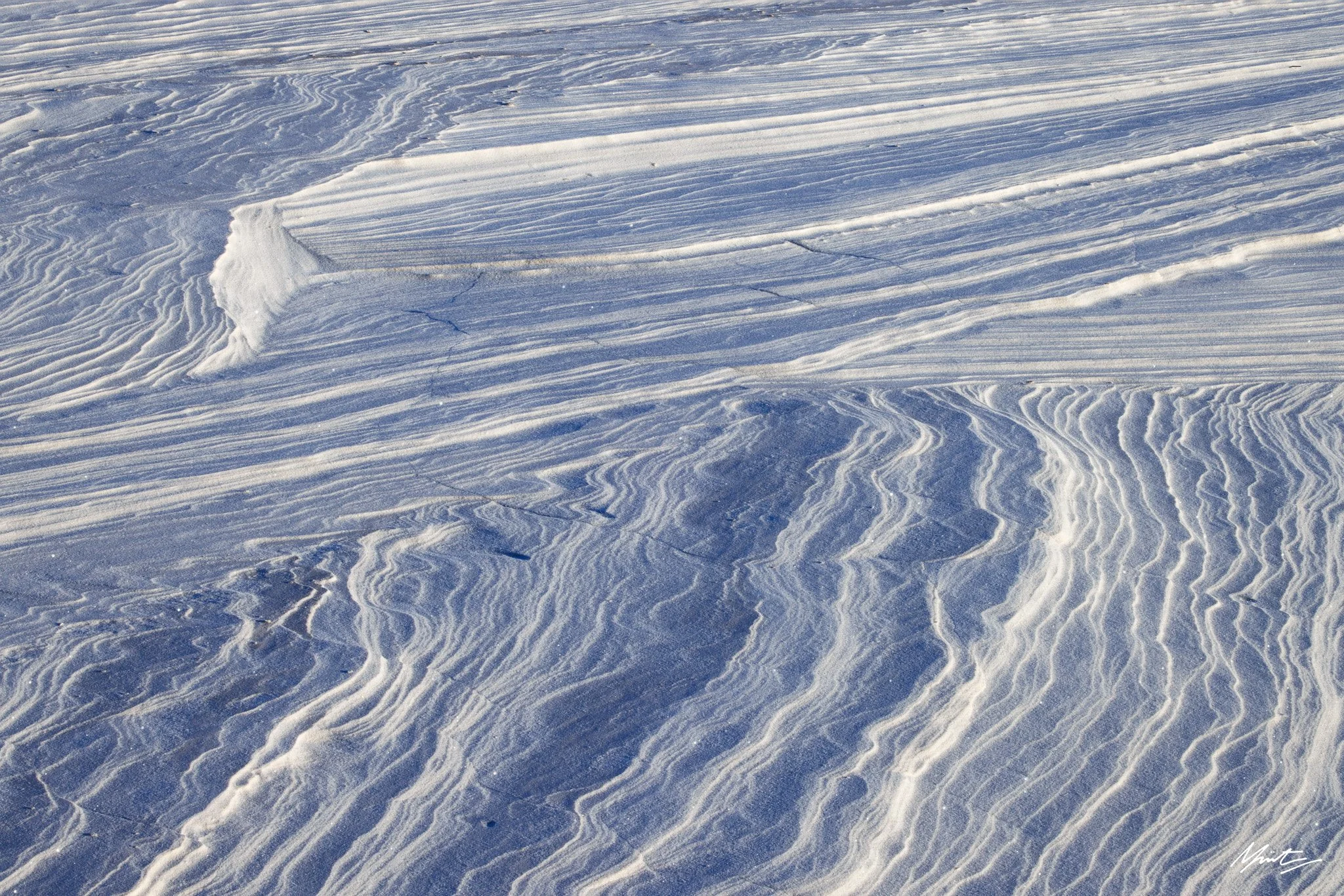 260228_Dunes-19.jpg
