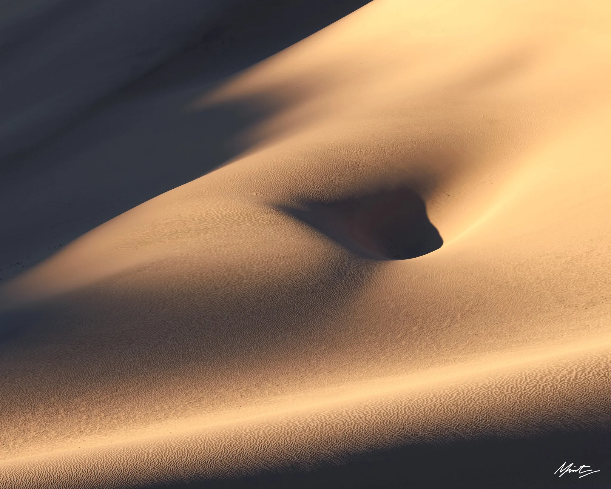 260228_Dunes-32.jpg