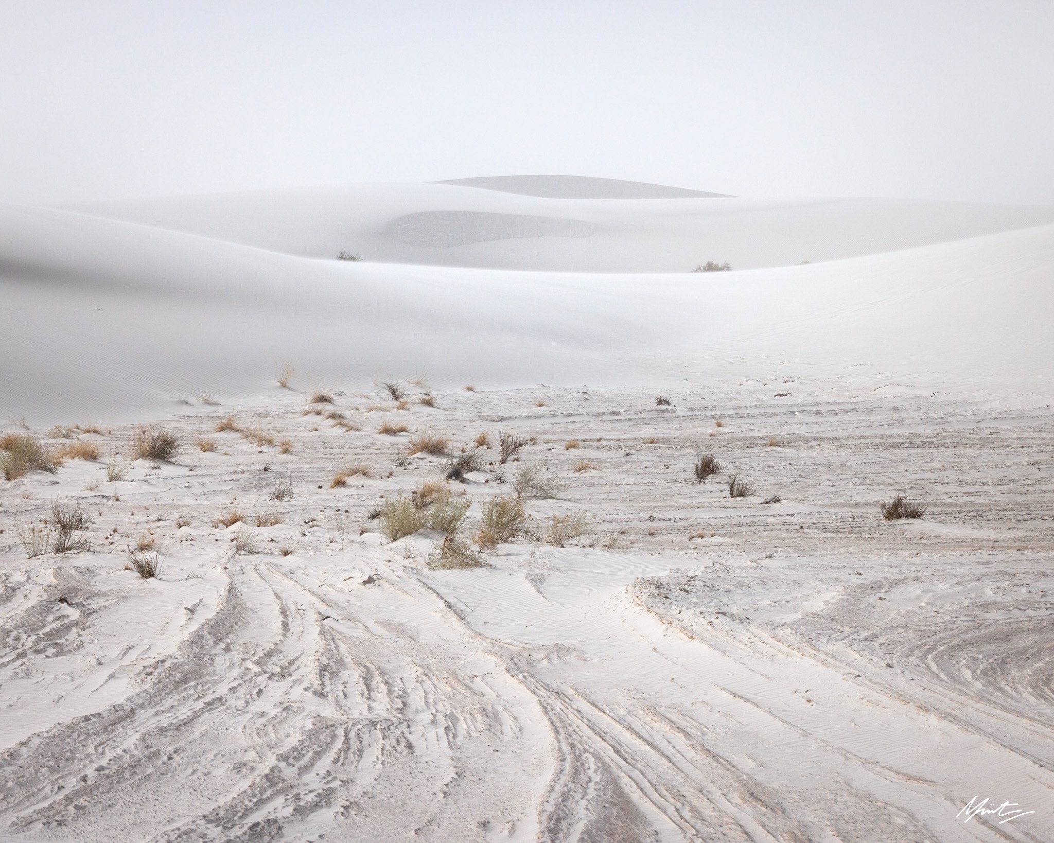 260228_Dunes-6.jpg