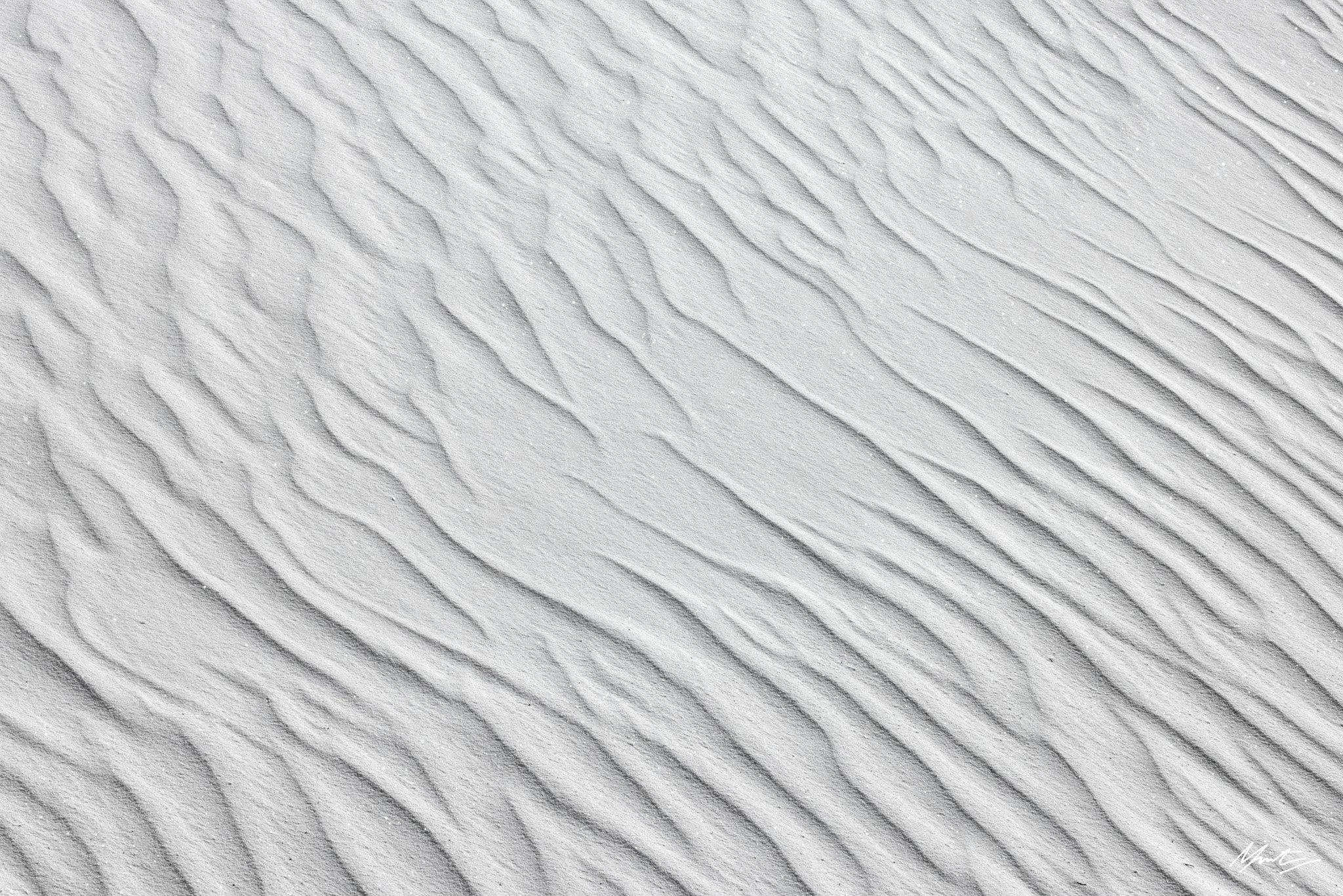 260228_Dunes-4.jpg