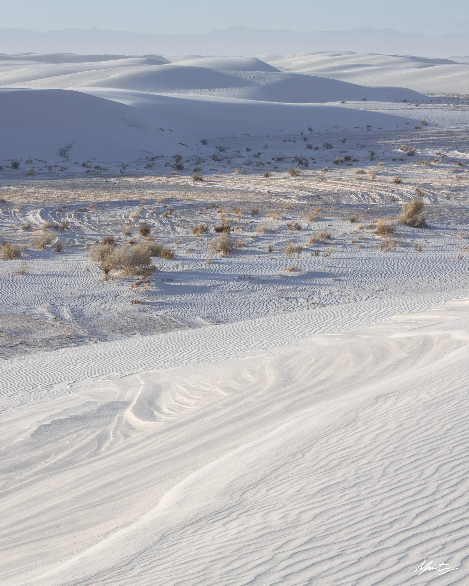 260228_Dunes-11.jpg