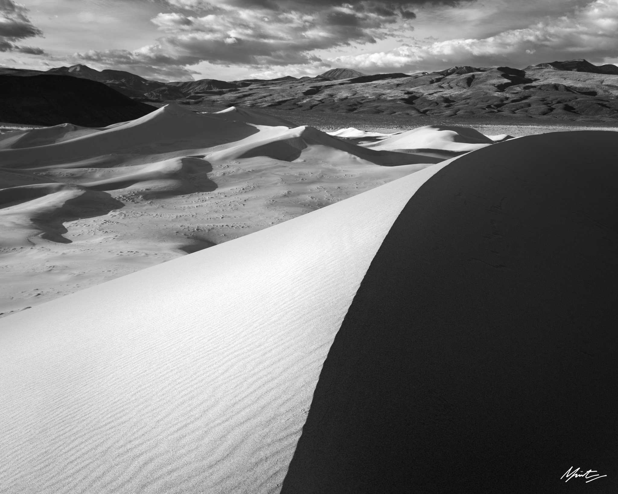 260228_Dunes-33.jpg
