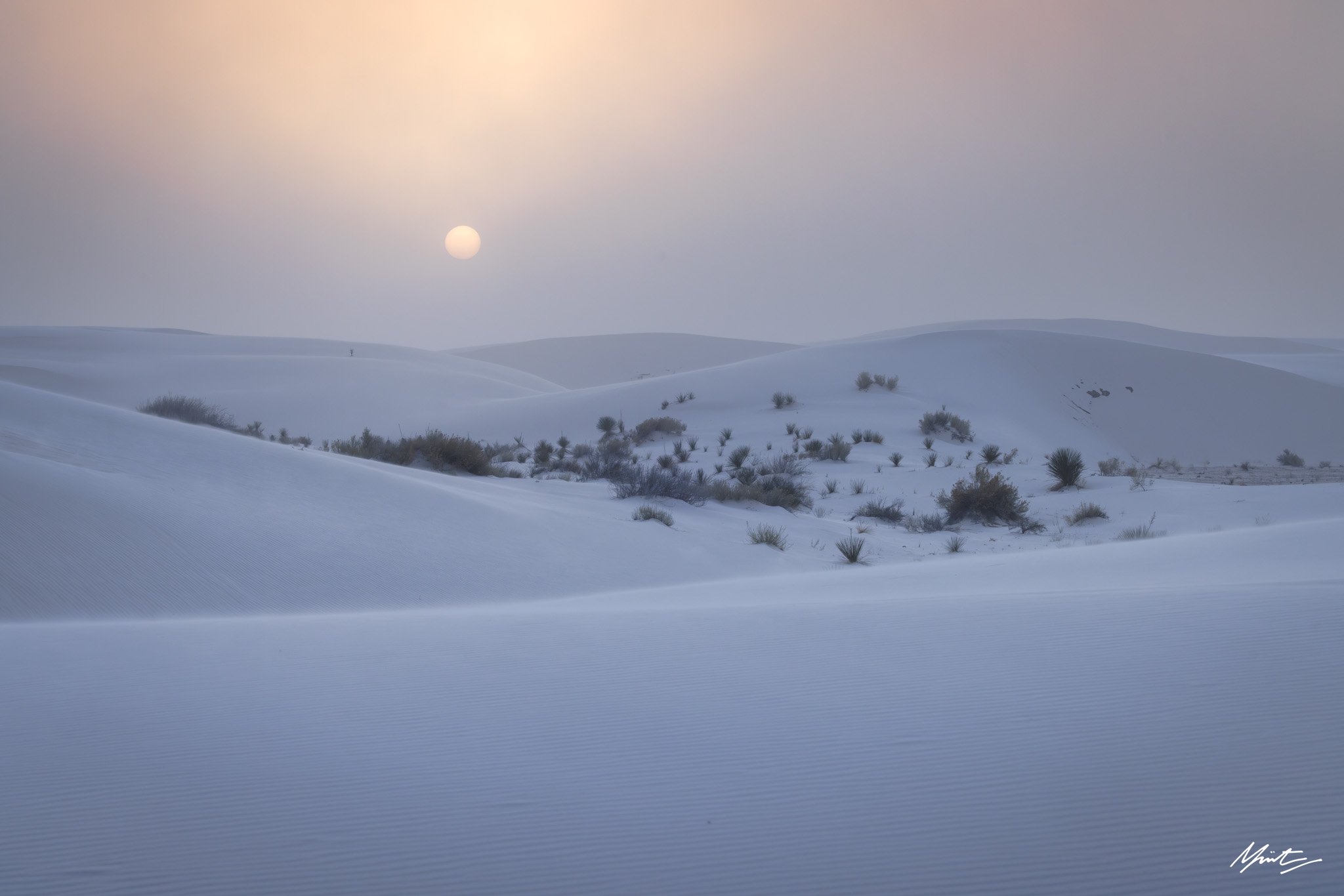 260228_Dunes-39.jpg