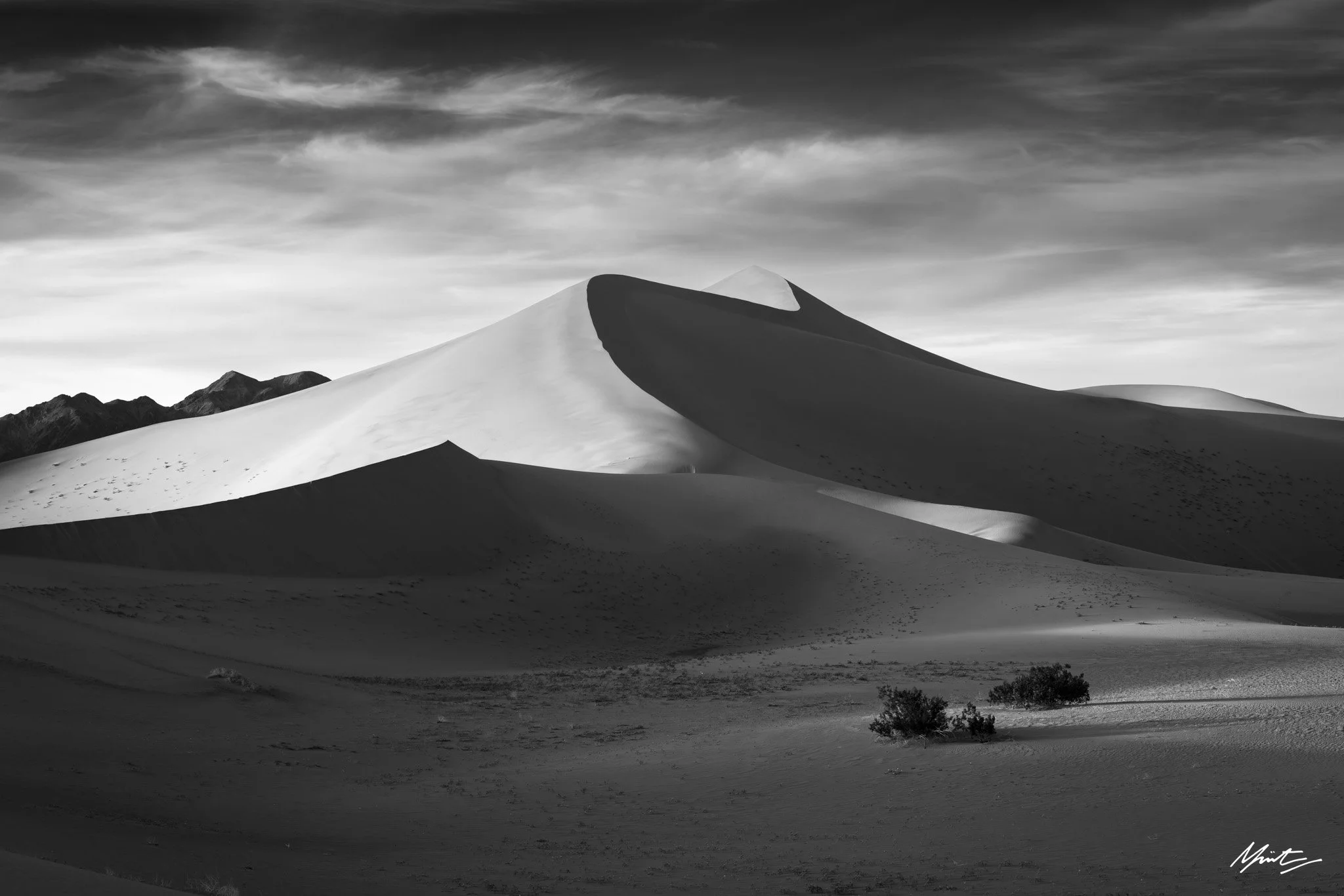 260228_Dunes-27.jpg
