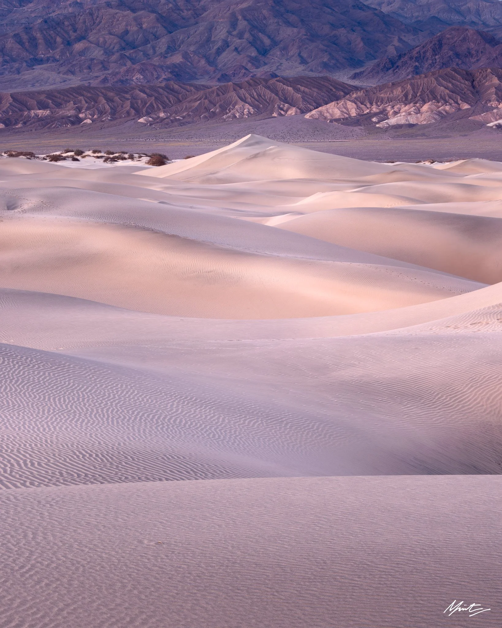 260228_Dunes-38.jpg
