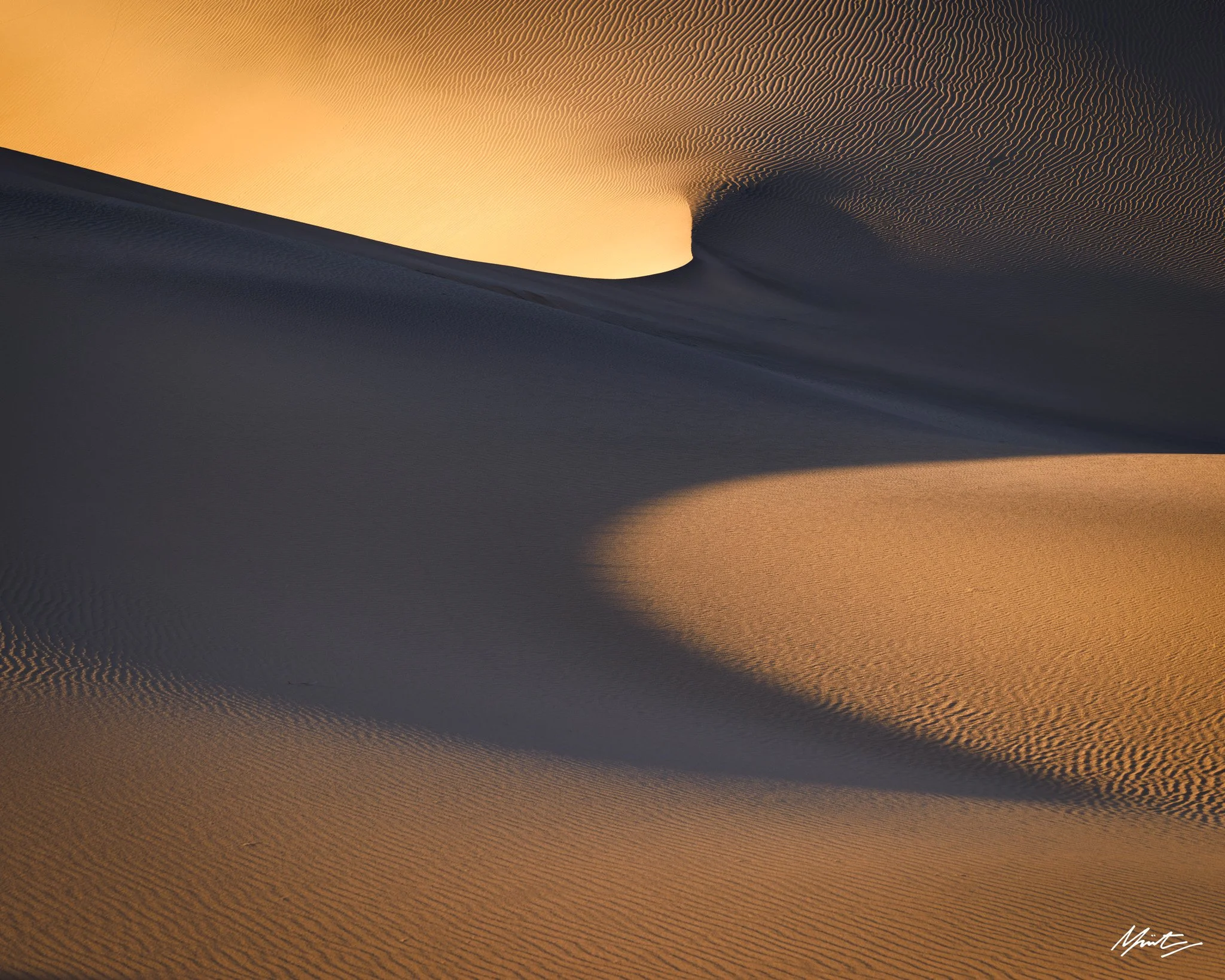 260228_Dunes-28.jpg