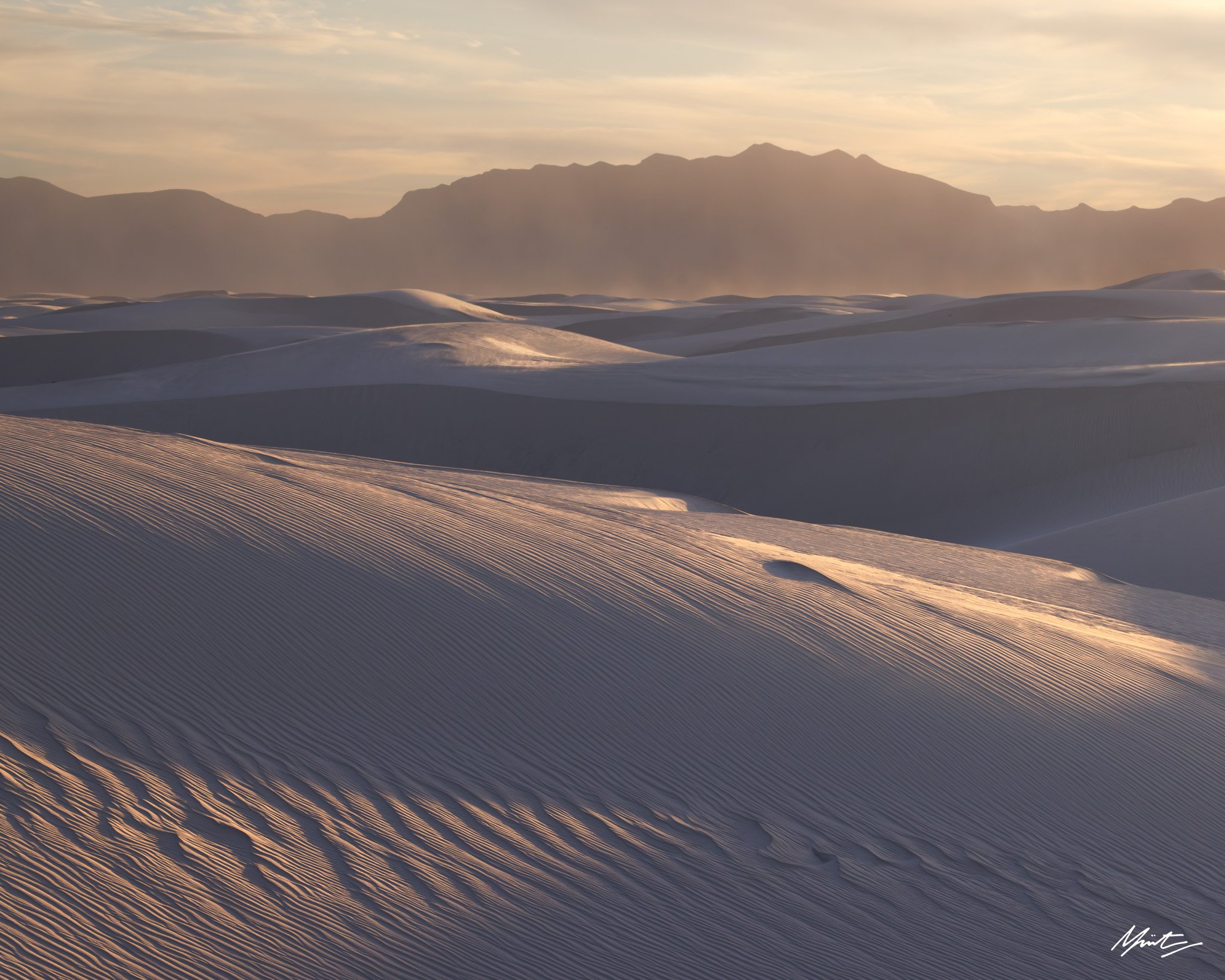 260228_Dunes-25.jpg