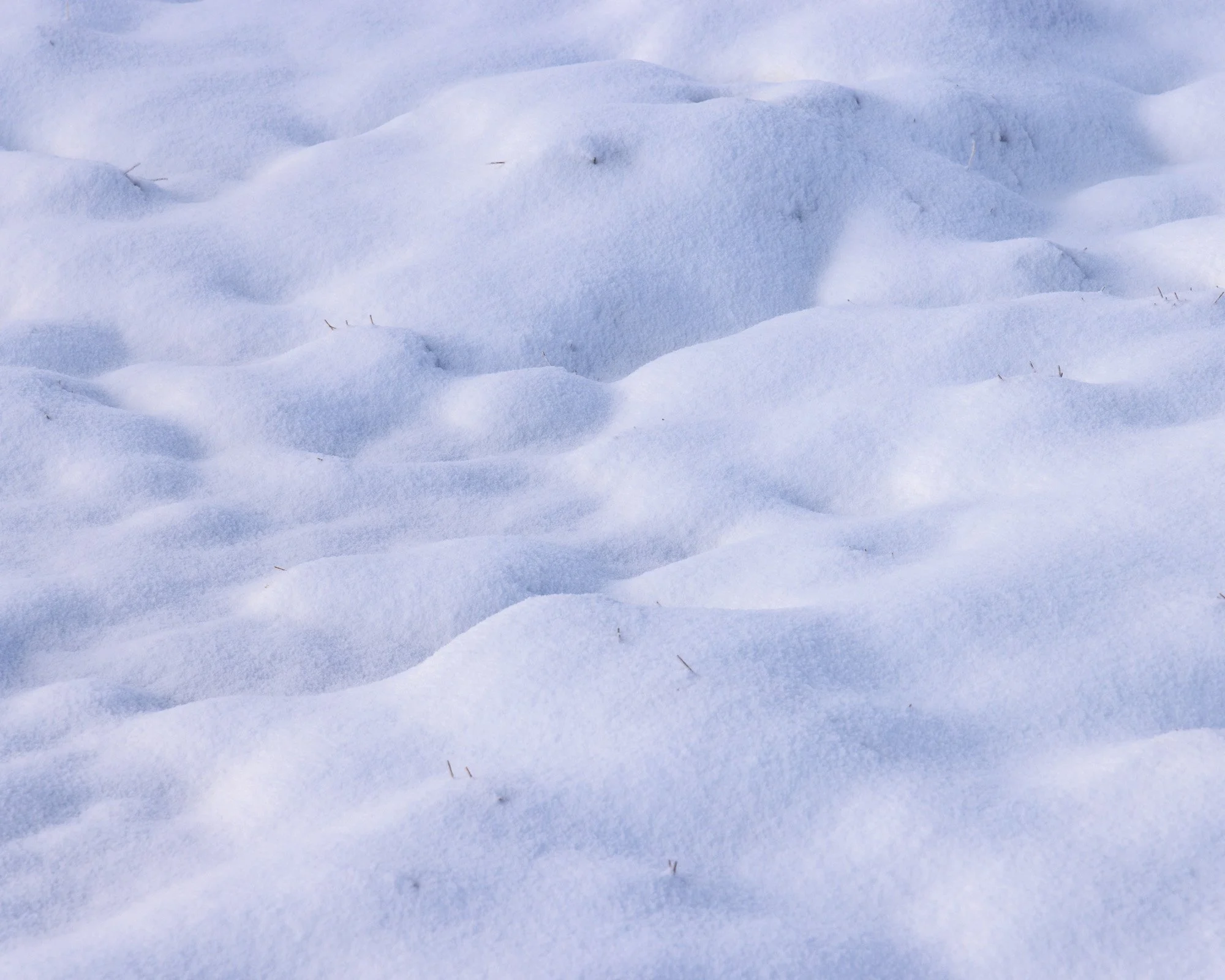 Freshly fallen snow covering the ground with small indentations and tiny twigs protruding from the surface.