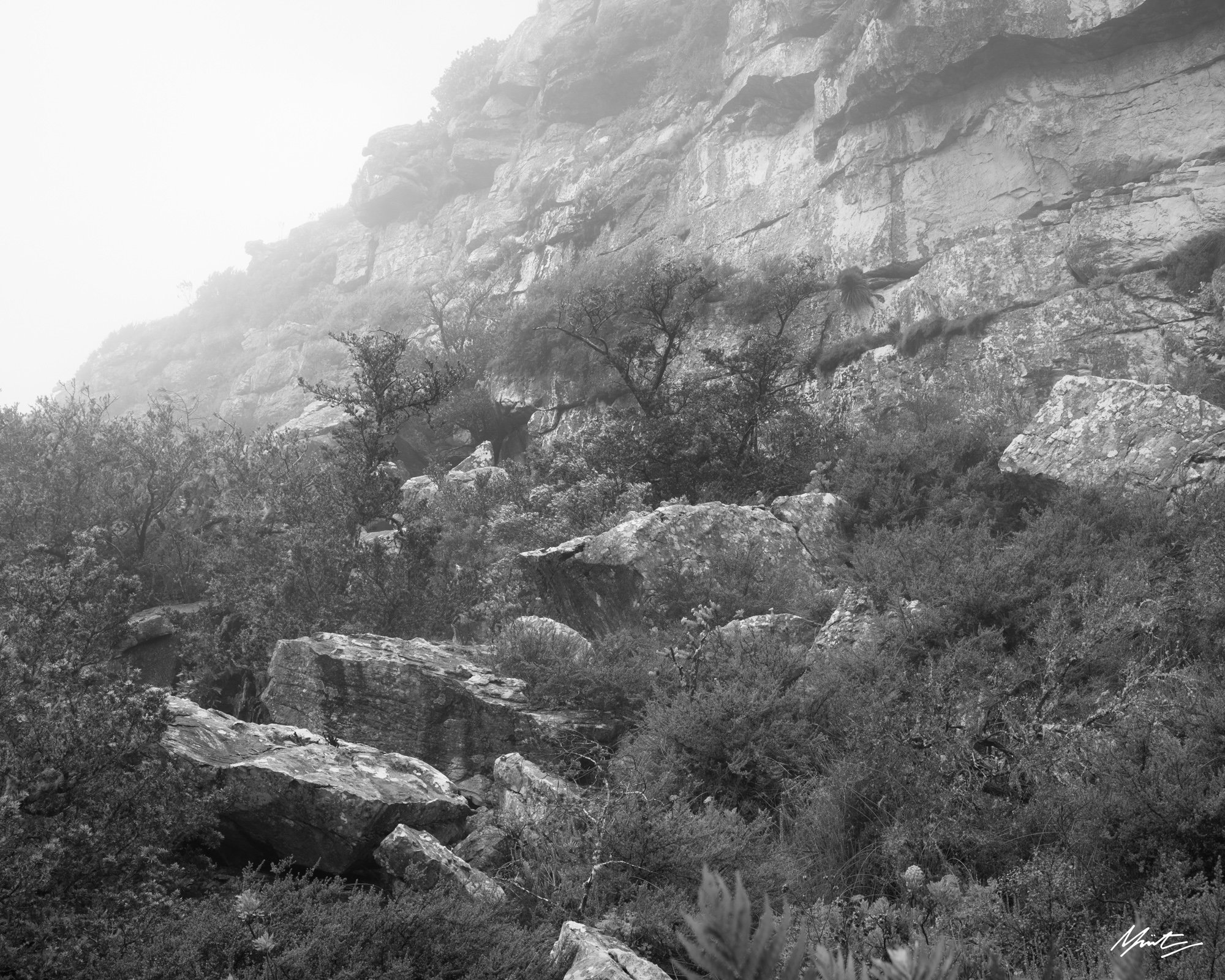 Abstract Intimate details table mountain fog.jpg