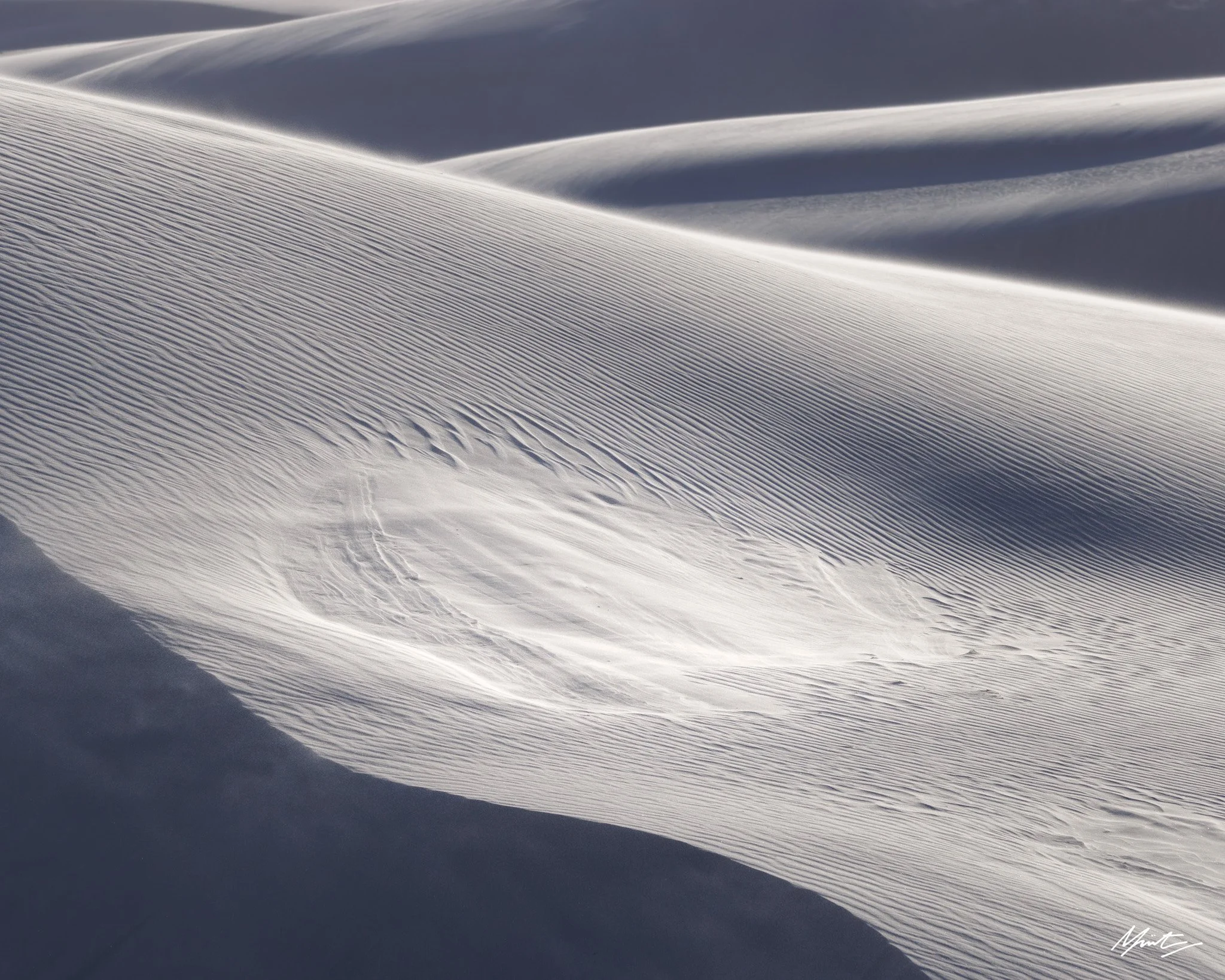 260228_Dunes-16.jpg