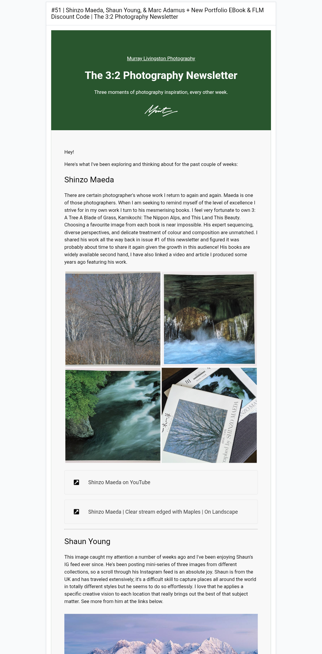 murray livingston newsletter sample
