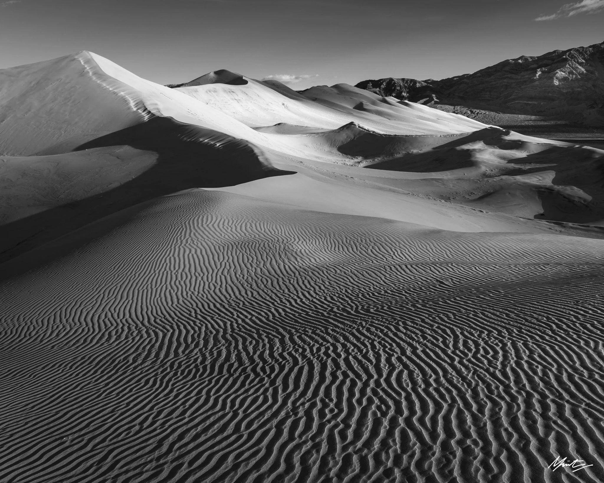 260228_Dunes-31.jpg