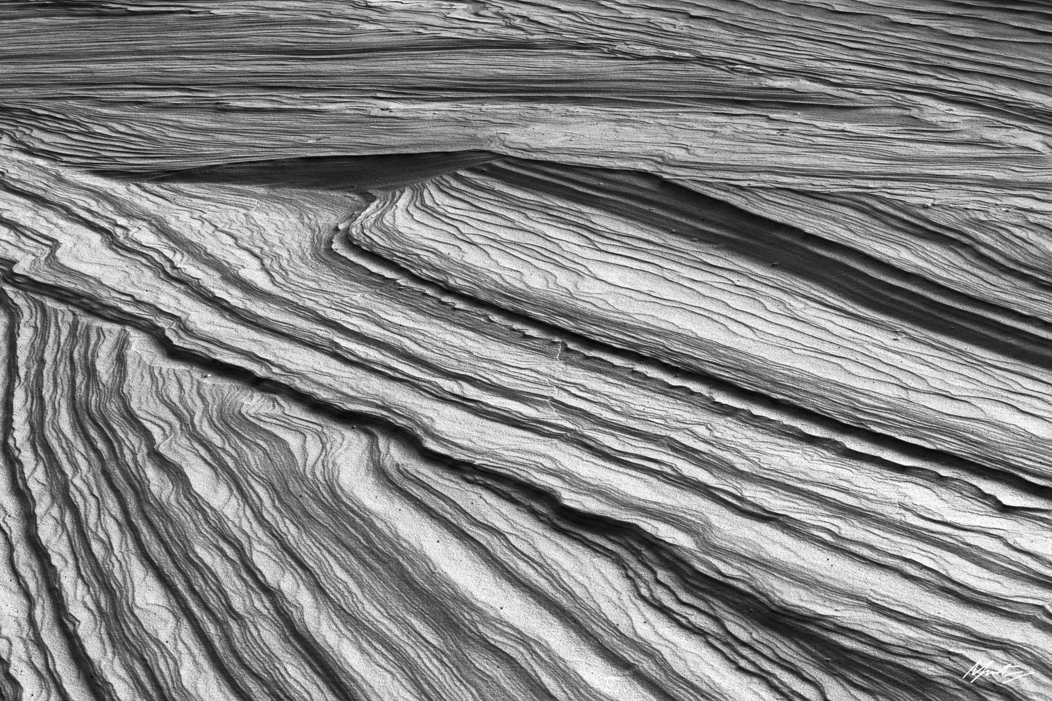 260228_Dunes-20.jpg