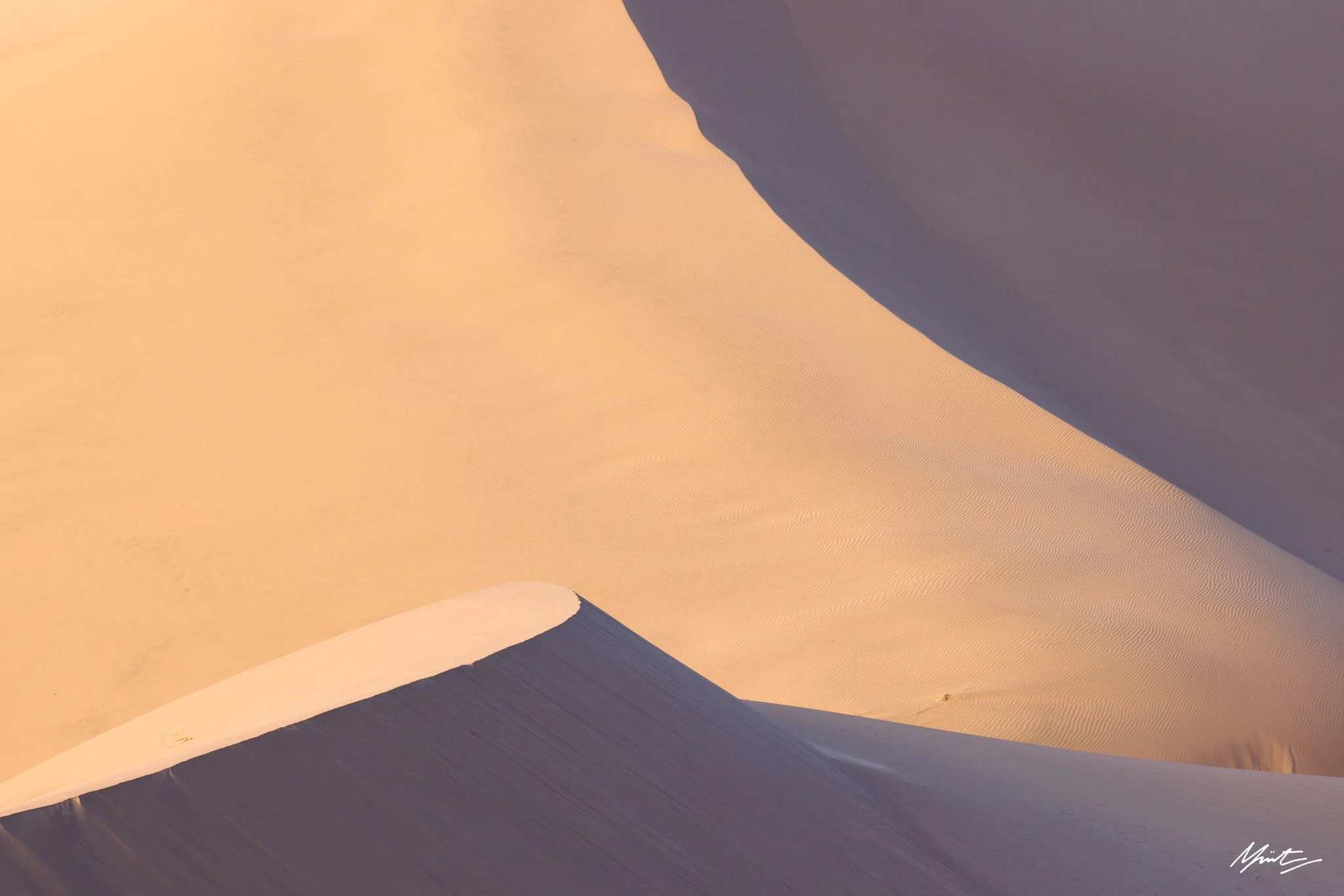 260228_Dunes-36.jpg