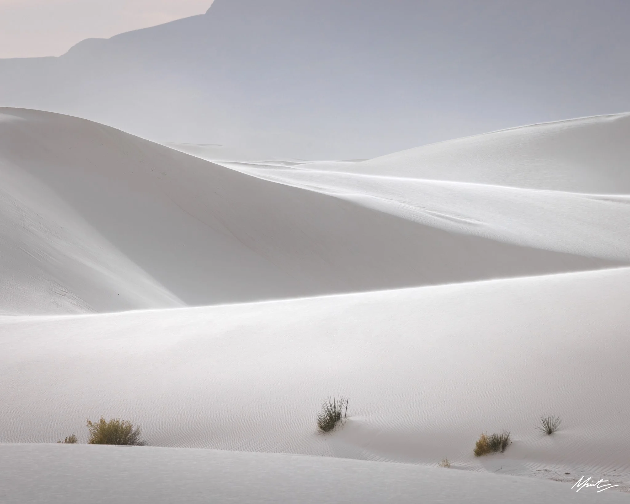 260228_Dunes-9.jpg